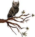 An owl perched on a tree branch against a transparent background