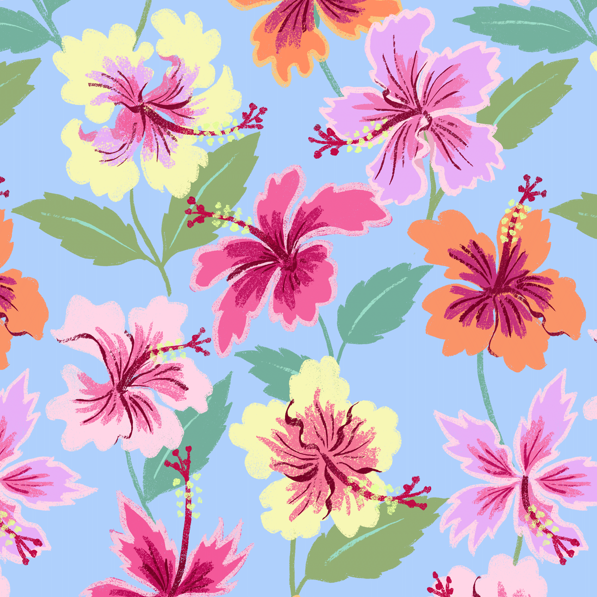 Hibiscus pastel.png