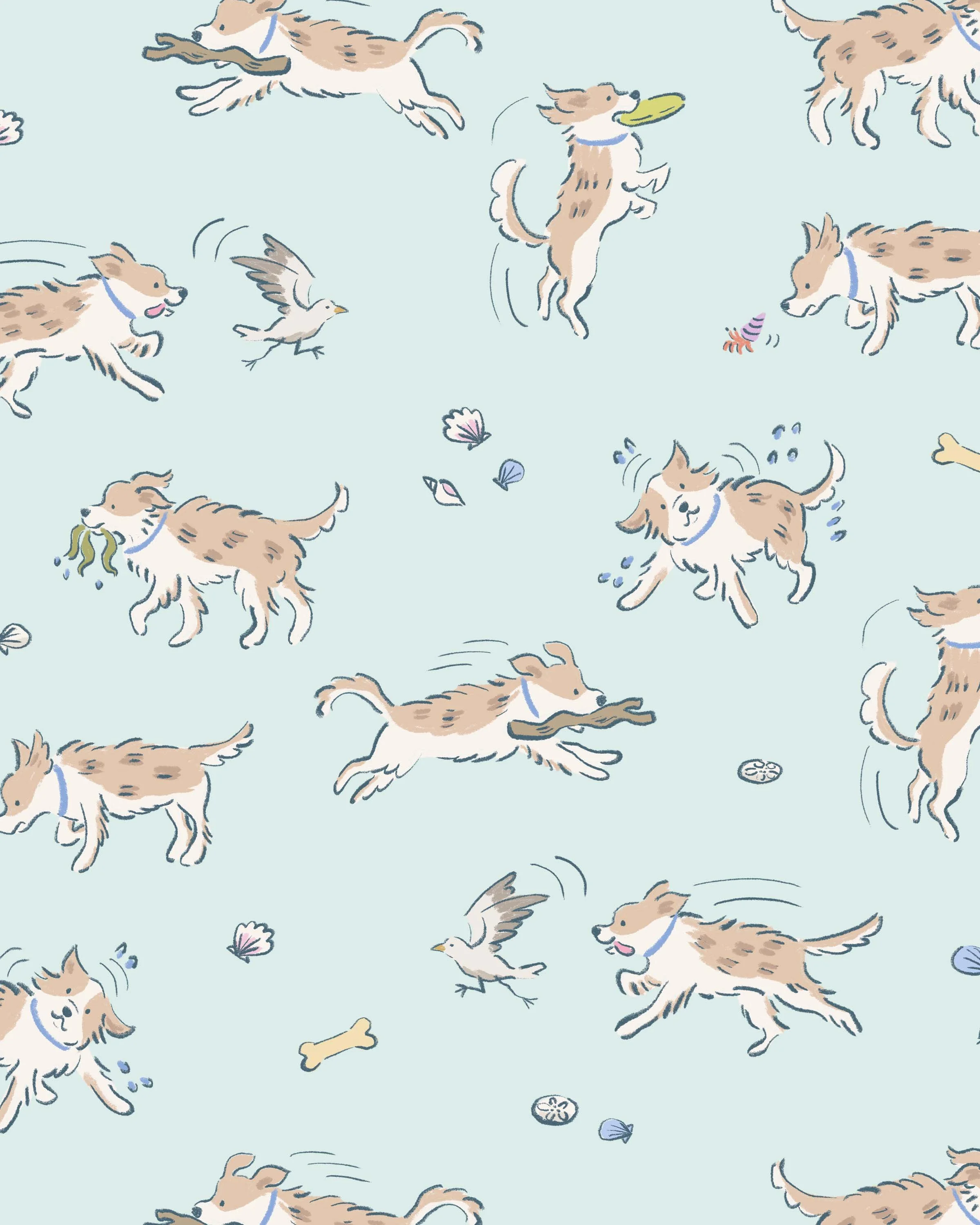 gallery beach dogs.jpg
