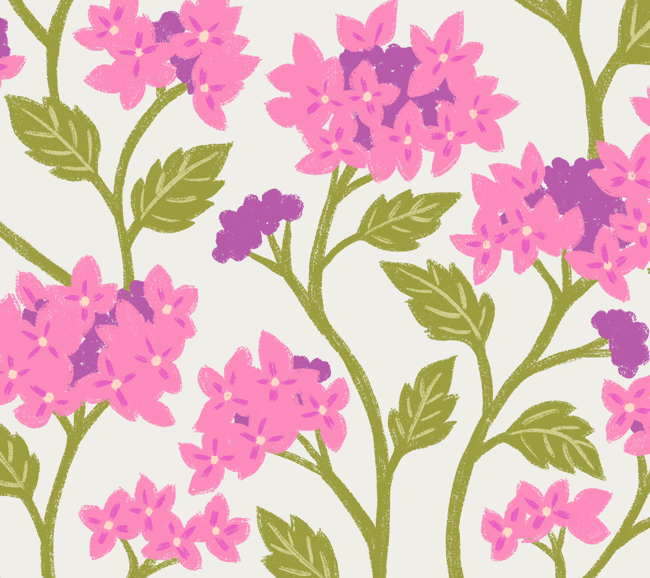 trailing hydrangea illo.png