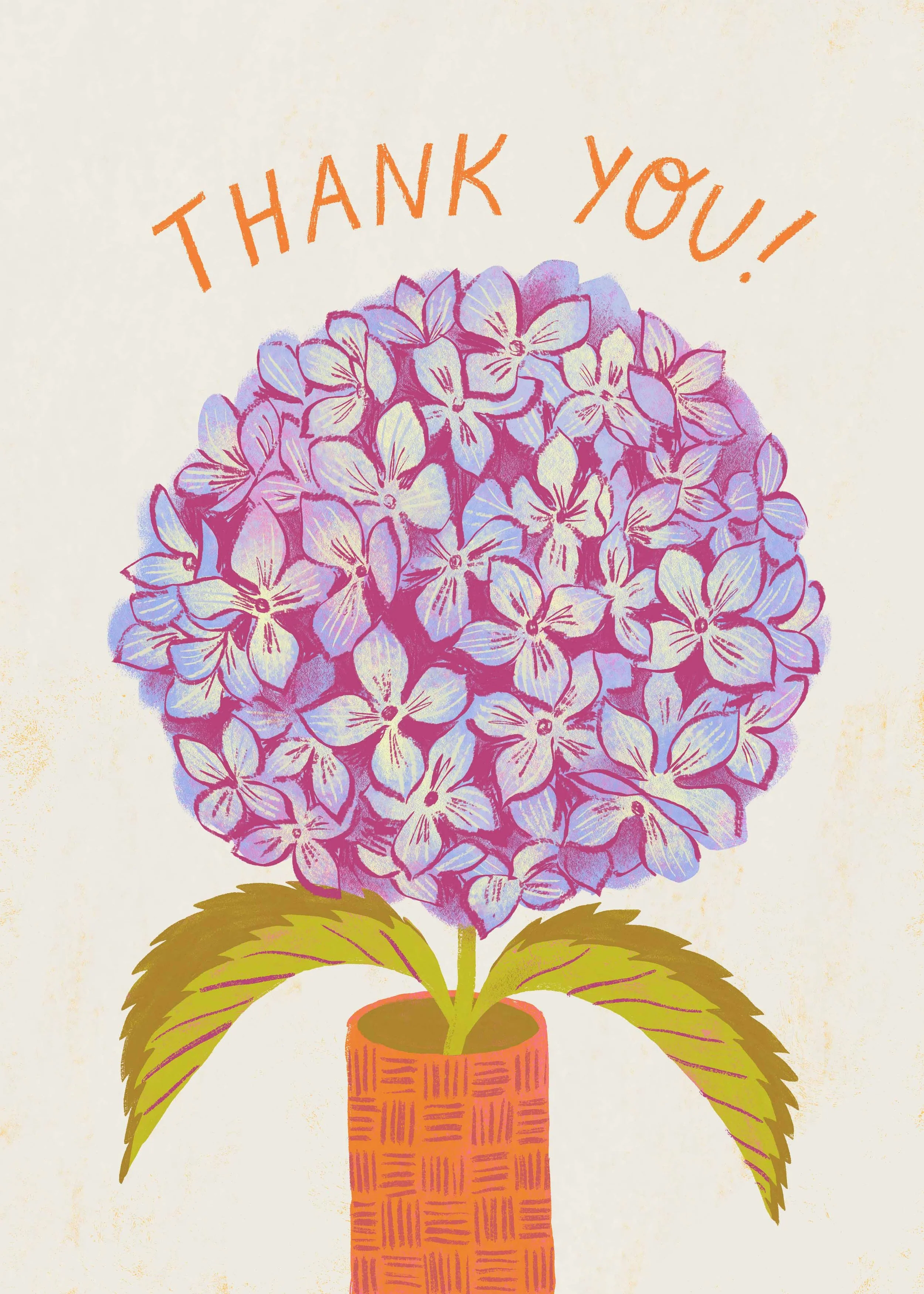 hydrangea_thankyou web.jpg