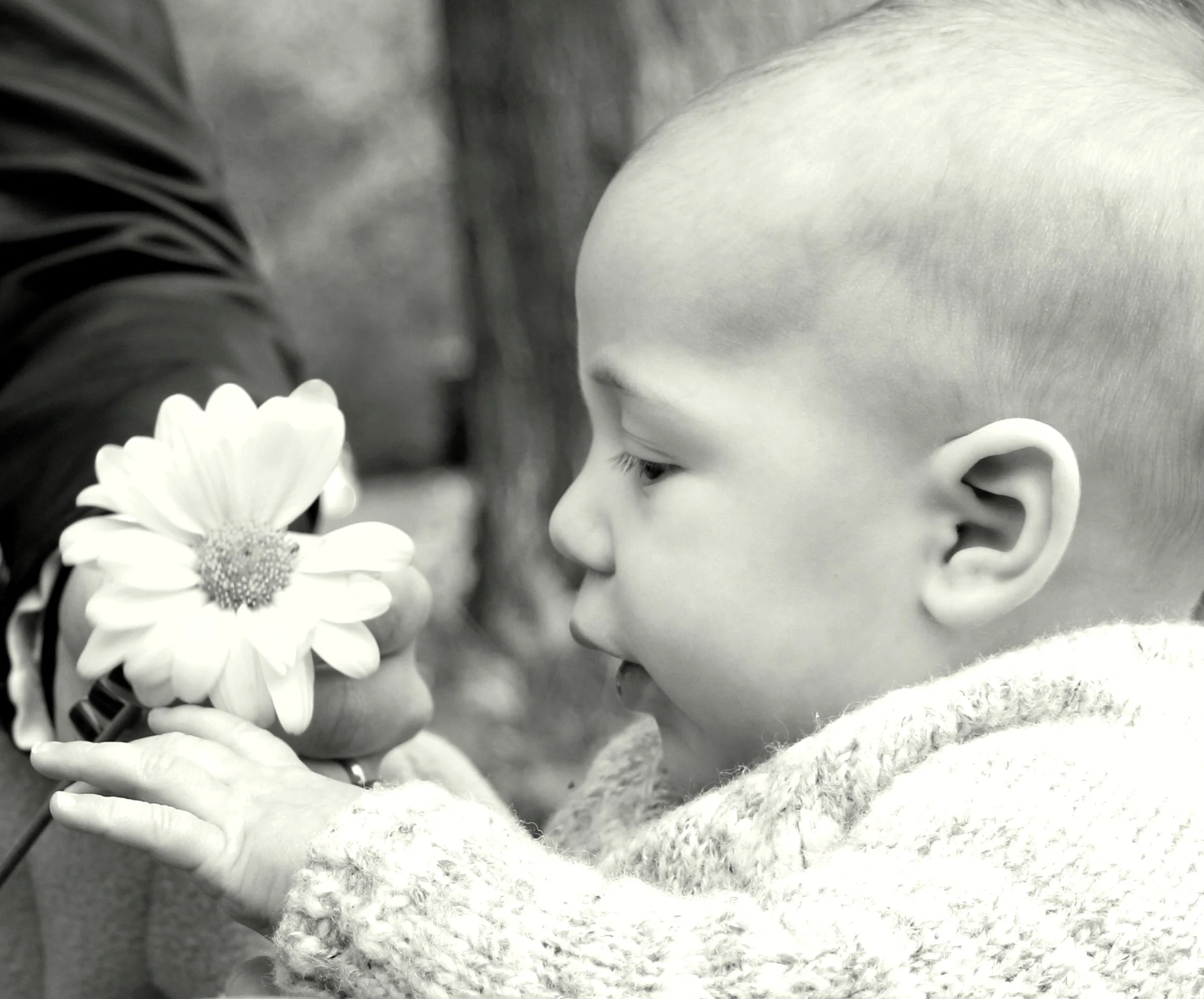 Nomi_Flower_5_BW_cropped_edited1.jpg