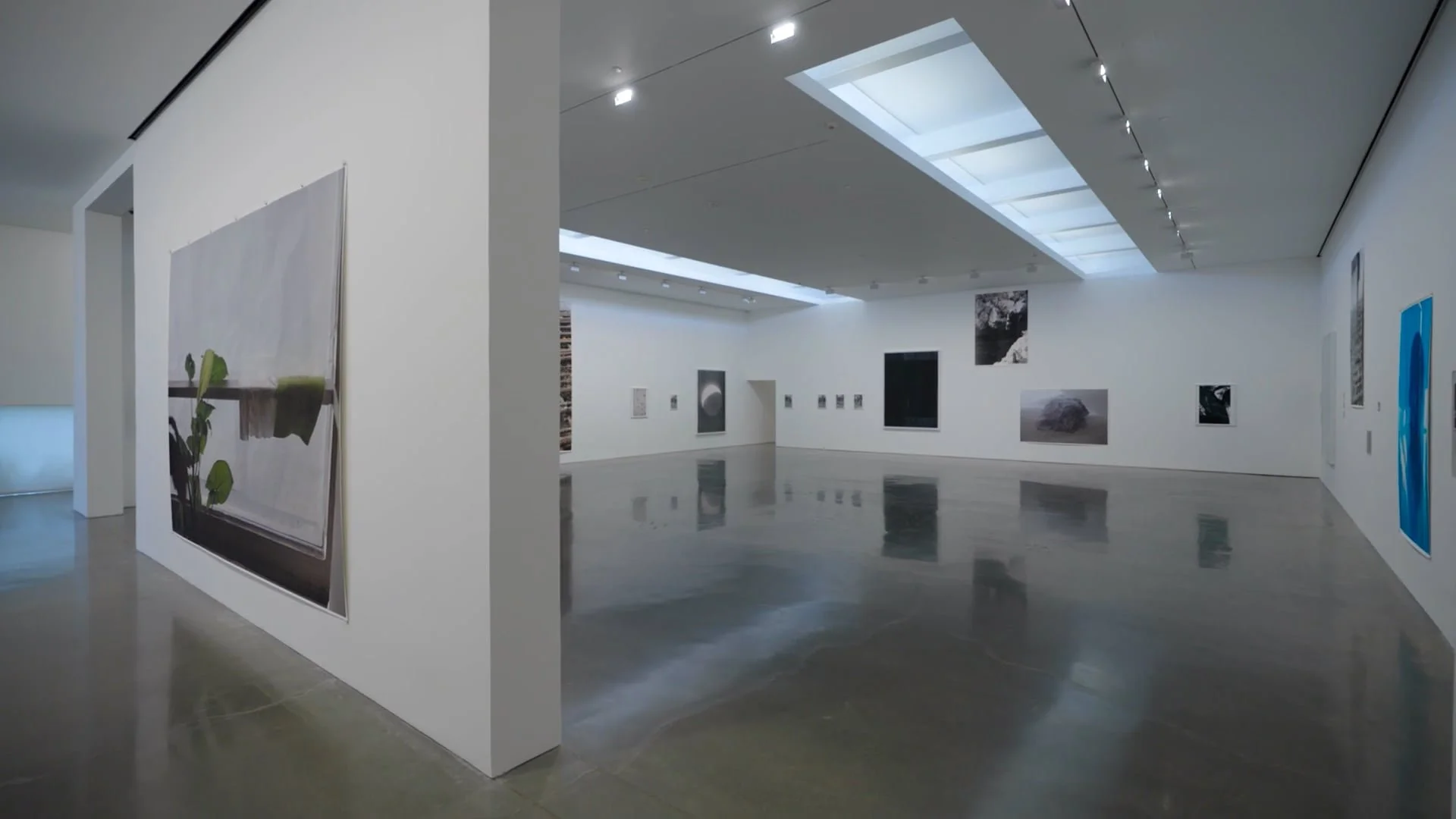 Wolfgang Tillmans