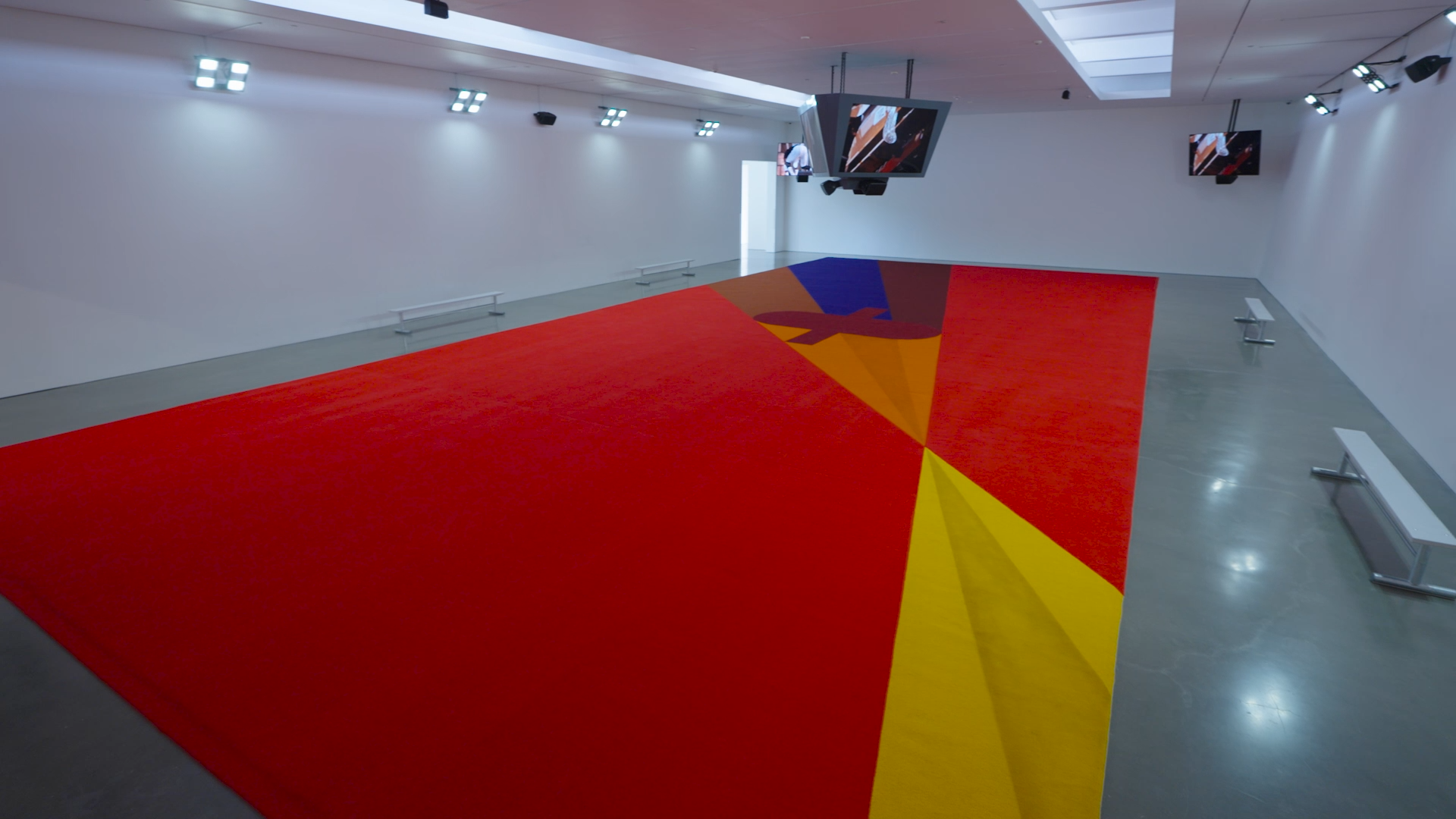 Matthew-Barney-Regen-Projects-Instillation-video-Eichenbaum-3.png