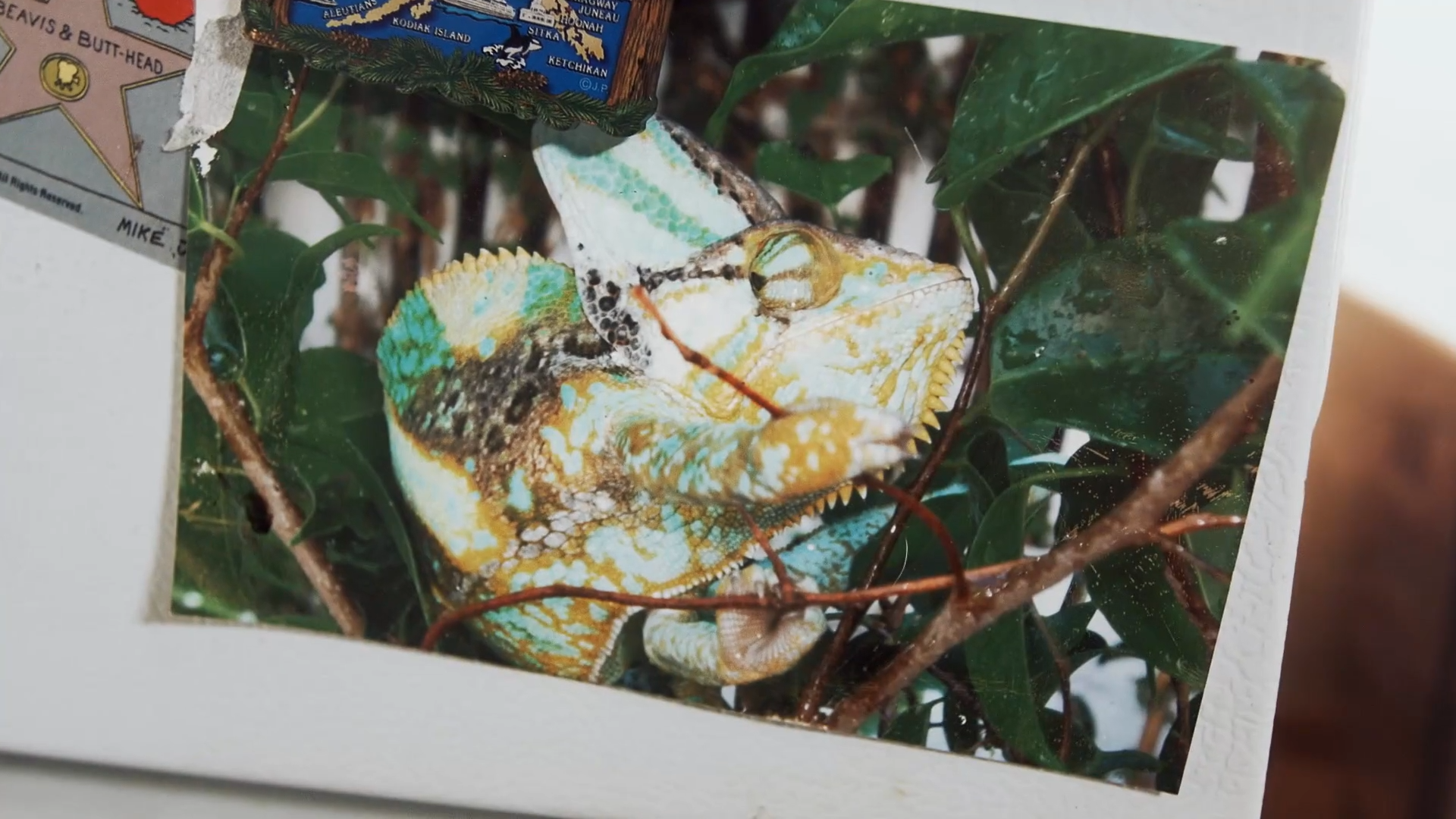 SID THE CHONDRO.00_00_48_08.Still006.png