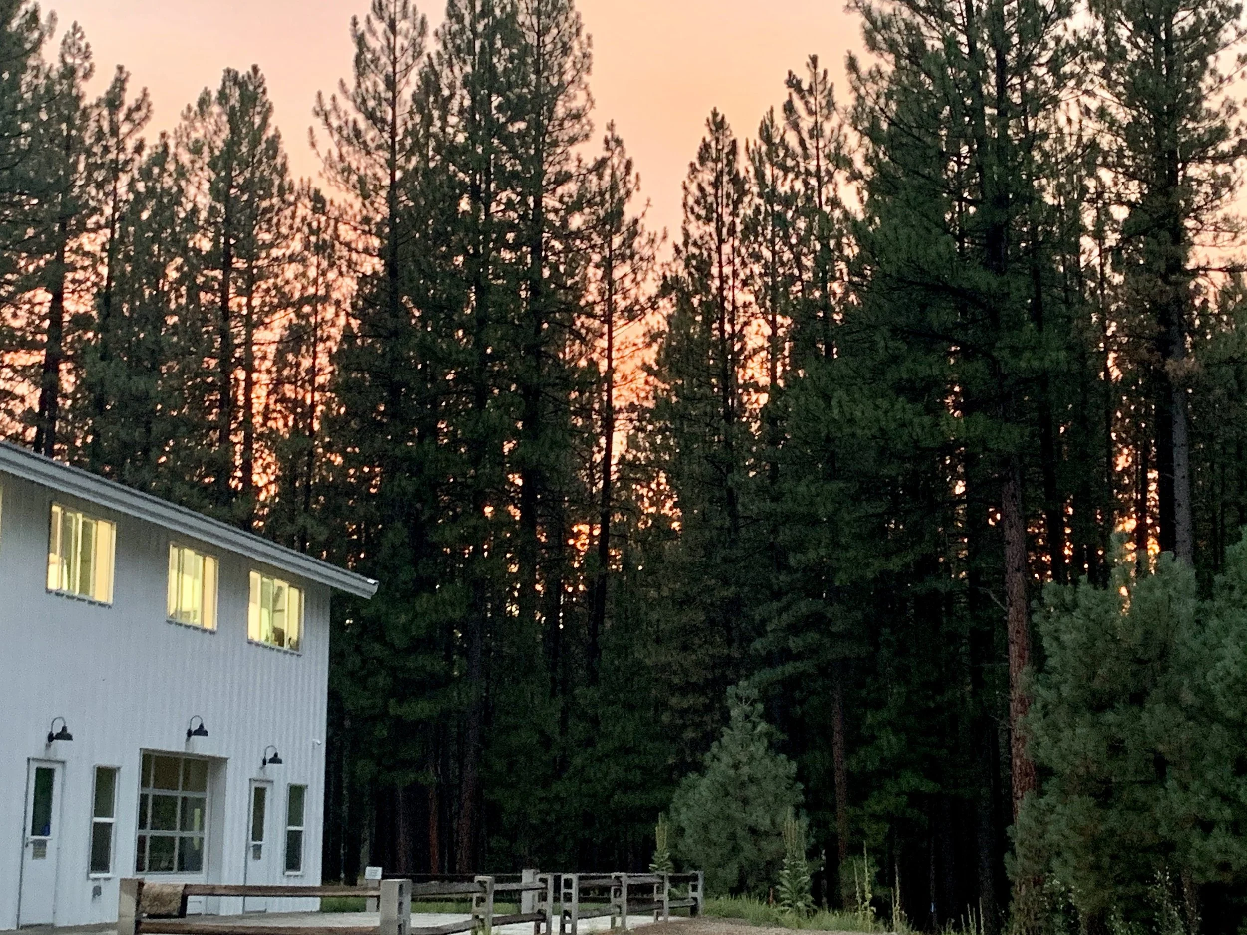 Ronin Fermentation Project Graeagle, CA