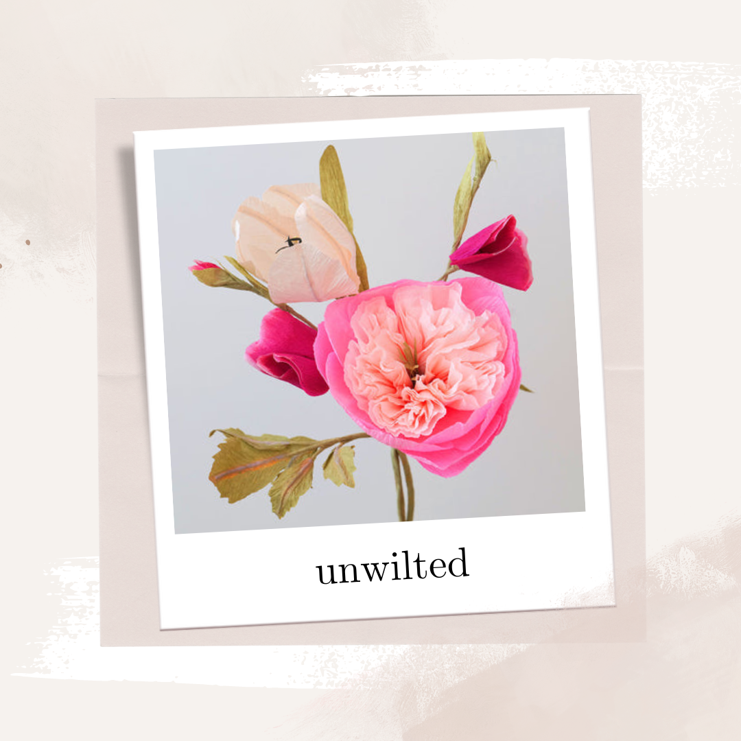 Aesthetic Polaroid Frame Instagram Post.png