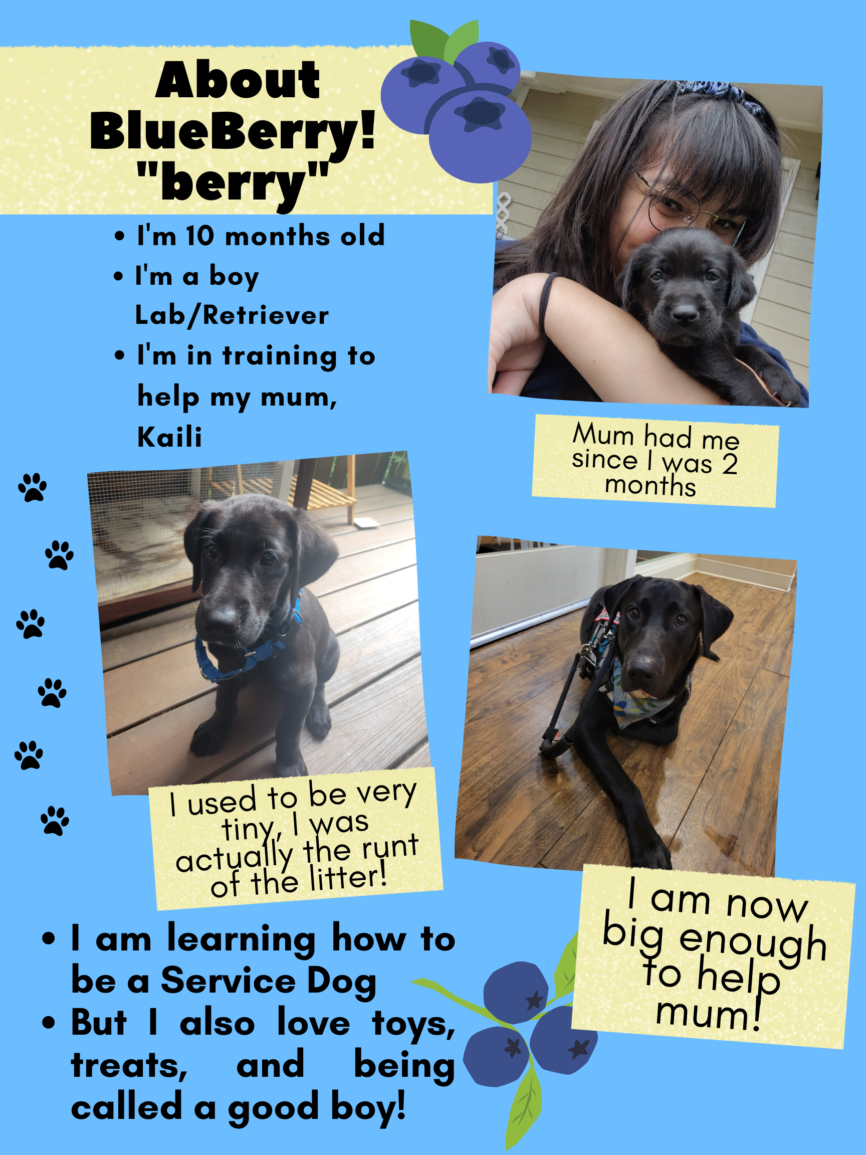 About BlueBerry.png