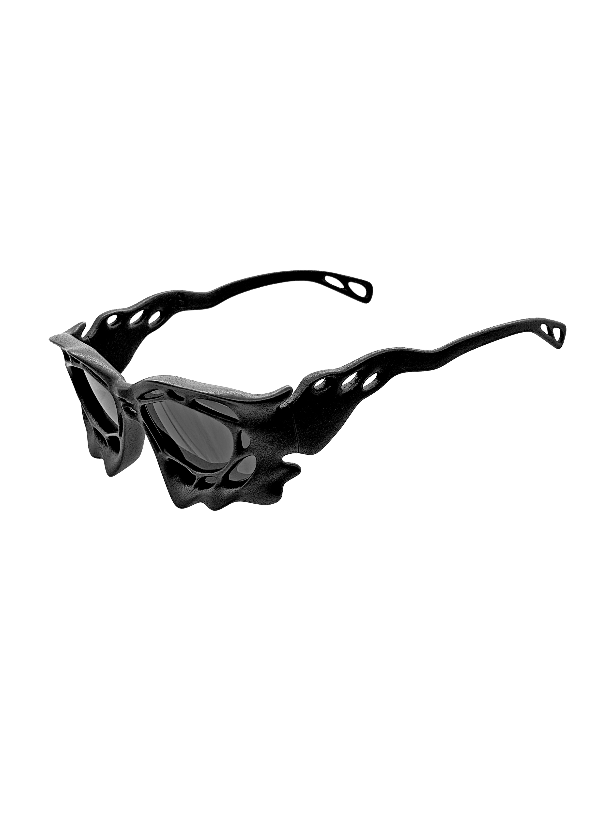 Anatomy Glasses