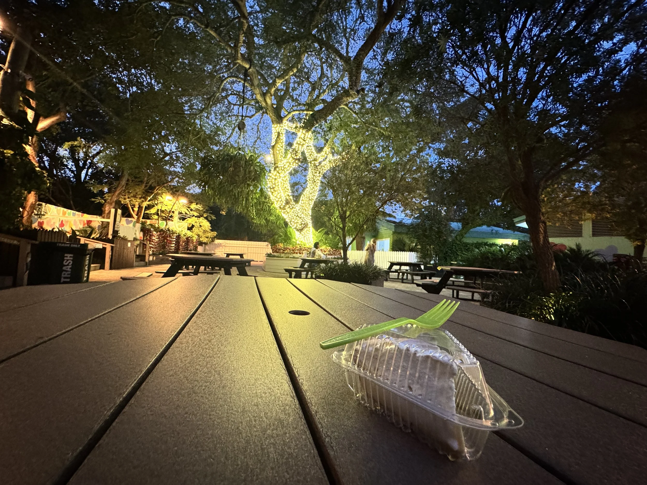  This is THE greatest key lime pie I’ve had in my life (Key West, FL) 