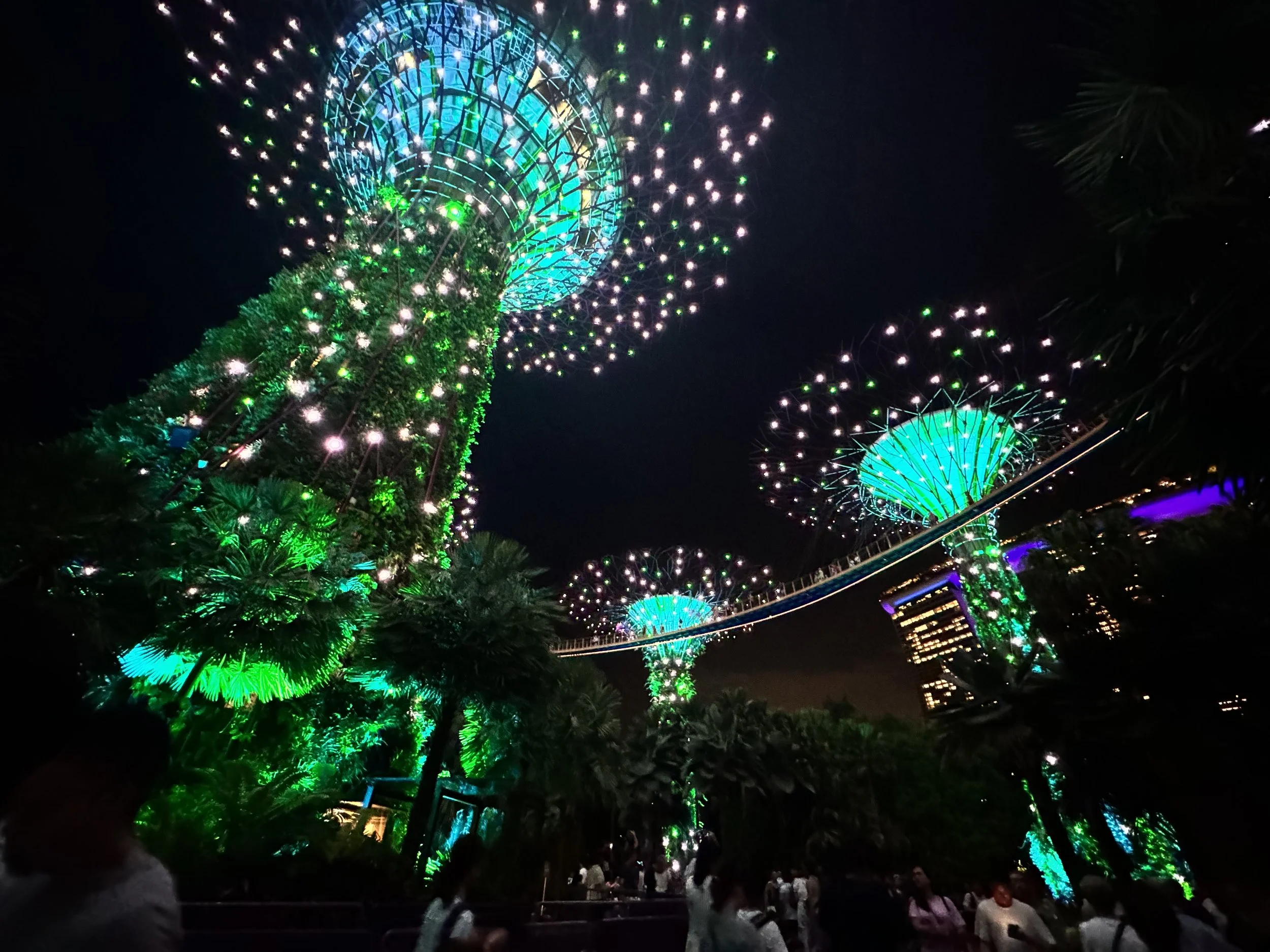  Gardens by the Bay in Singapore! 