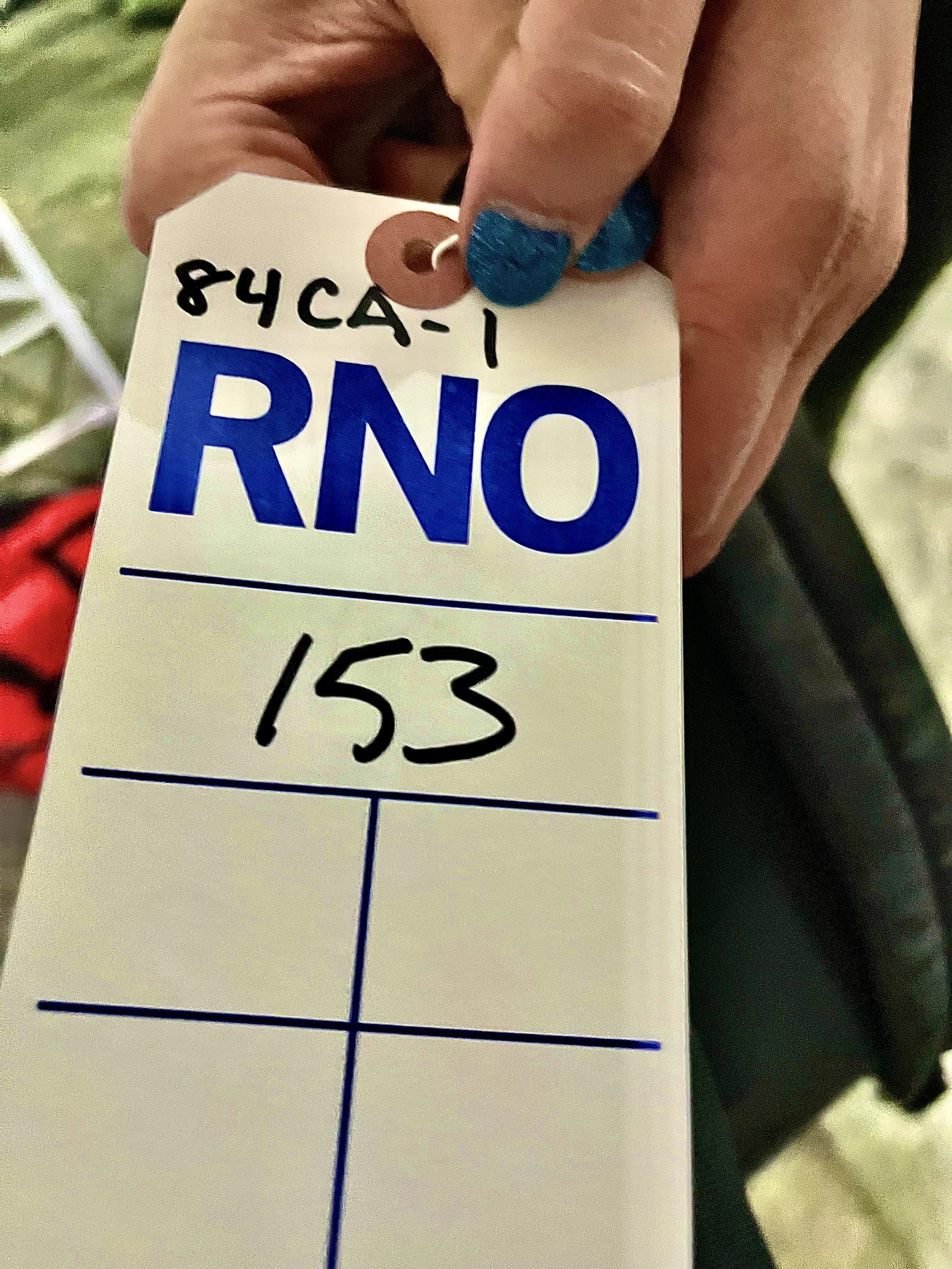  Once you receive your luggage tag, you will navigate to the second room where you will check-in for your actual flight. 