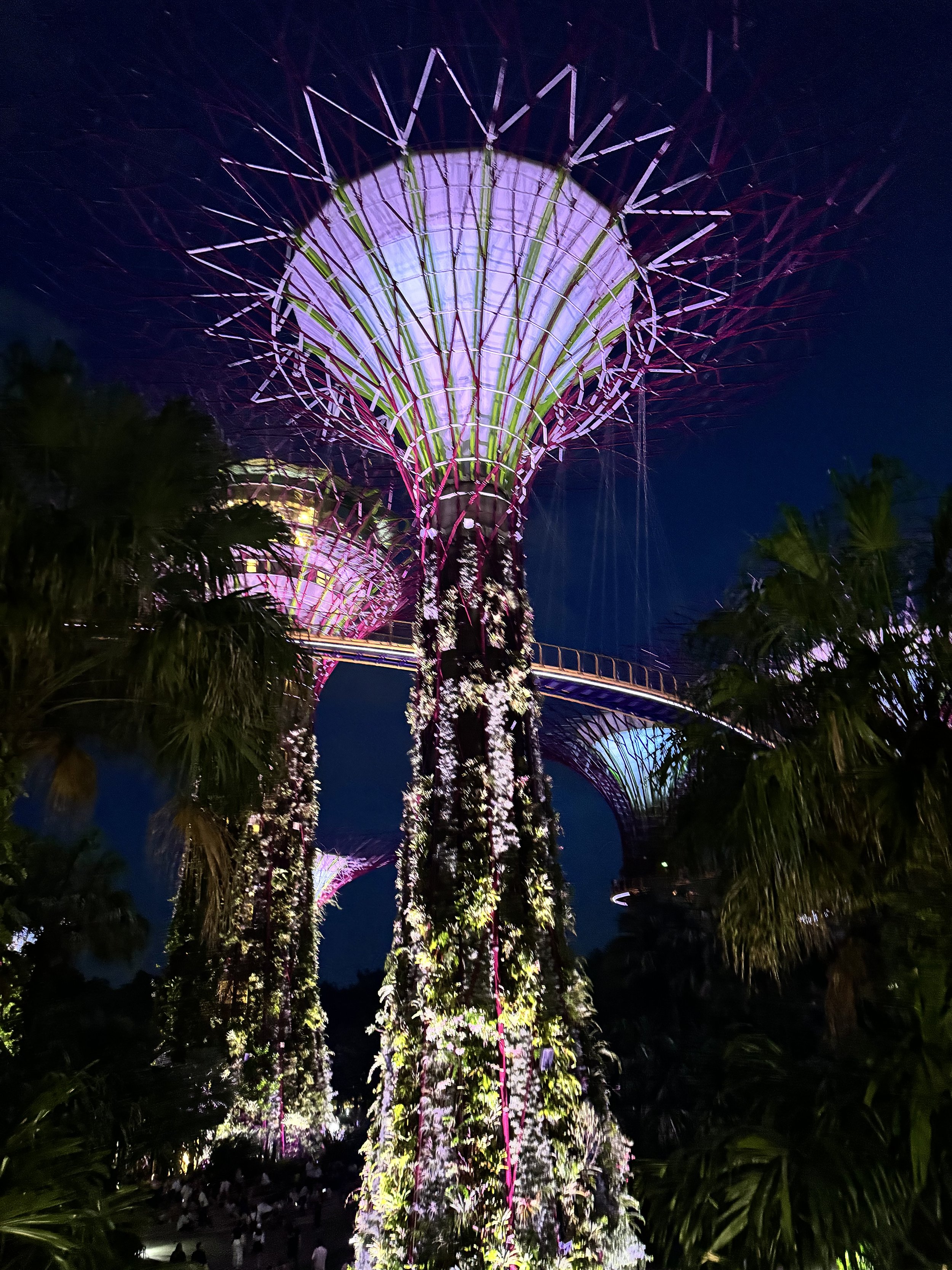  Gardens by the Bay in Singapore! 