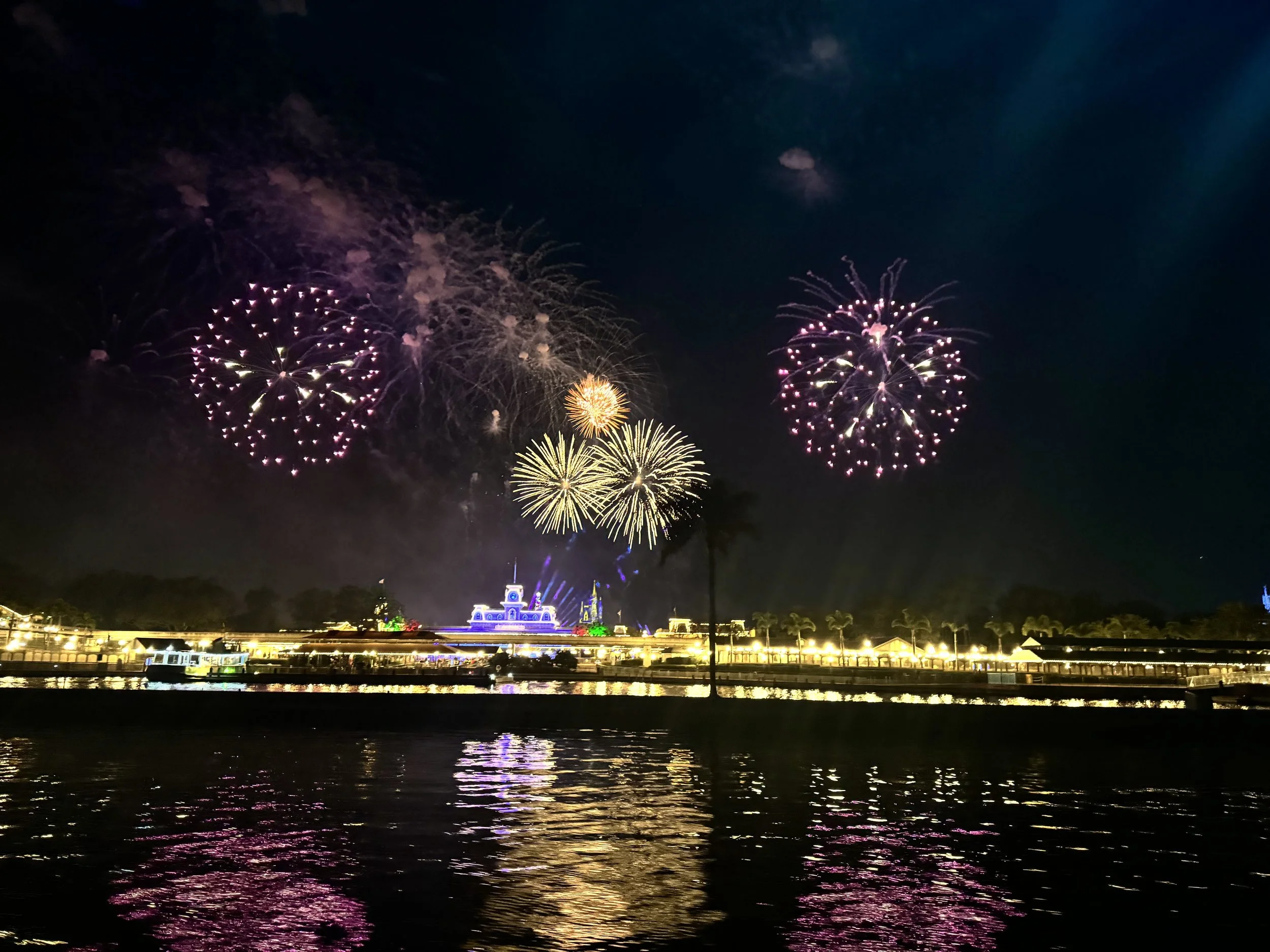  I got to see the Magic Kingdom fireworks from a boat in the PERFECT spot! 