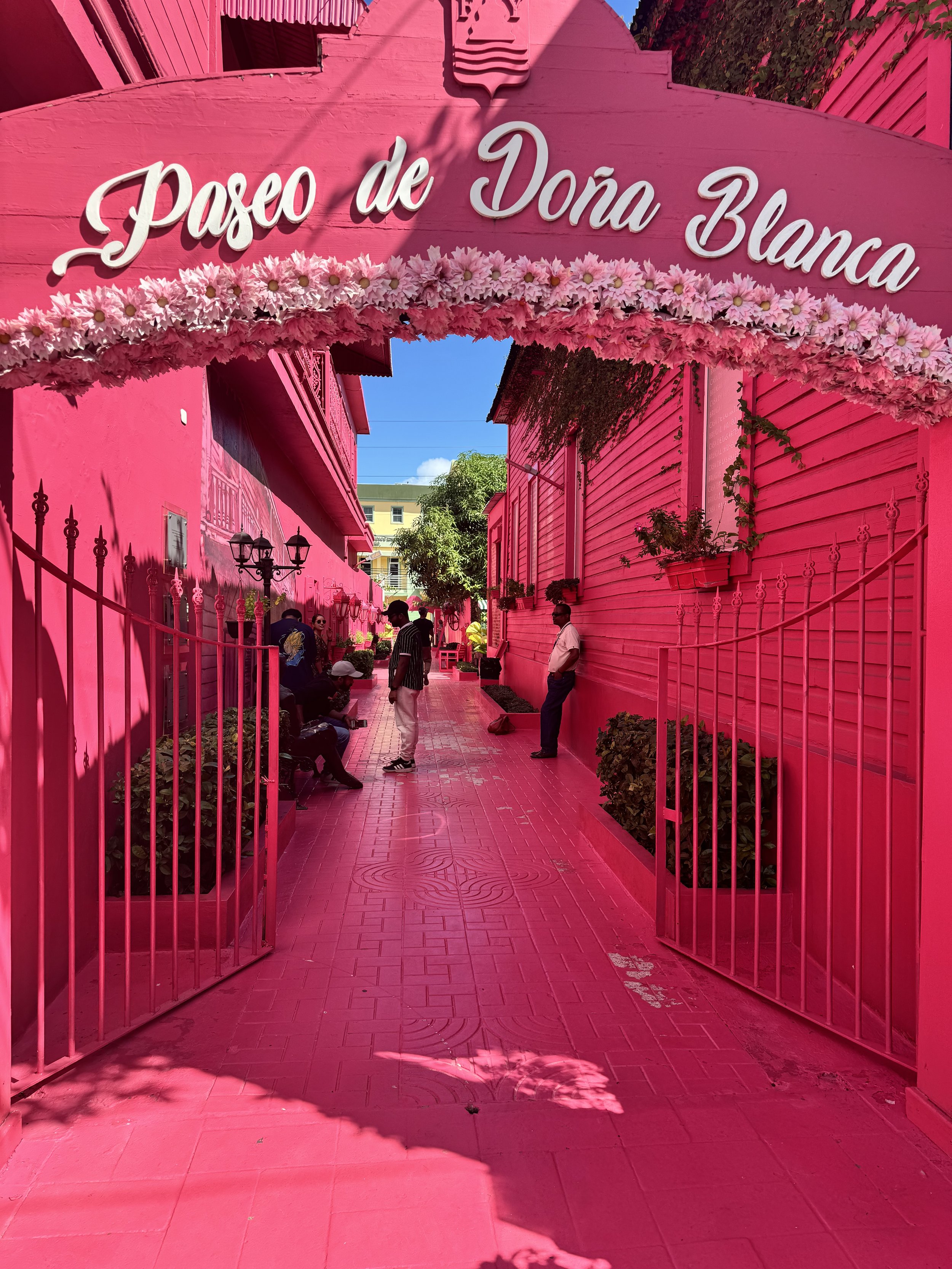  A cute alley in San Juan! 