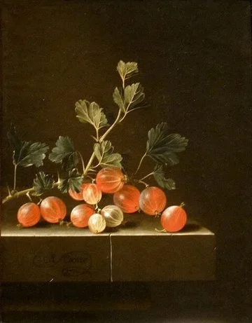 Gooseberries: An Exploration (Friday)