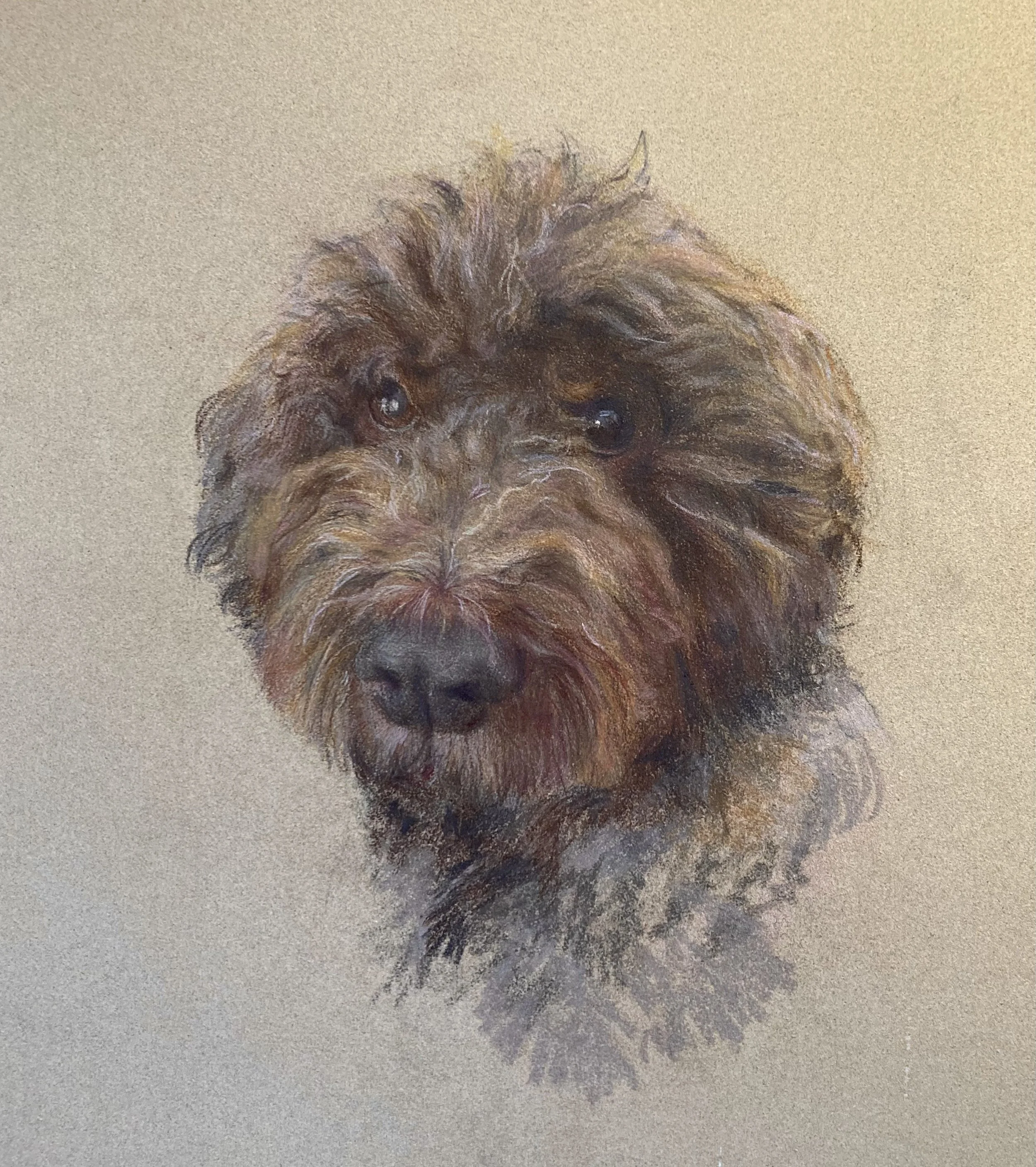 CP Risotto Ziegler final.jpg