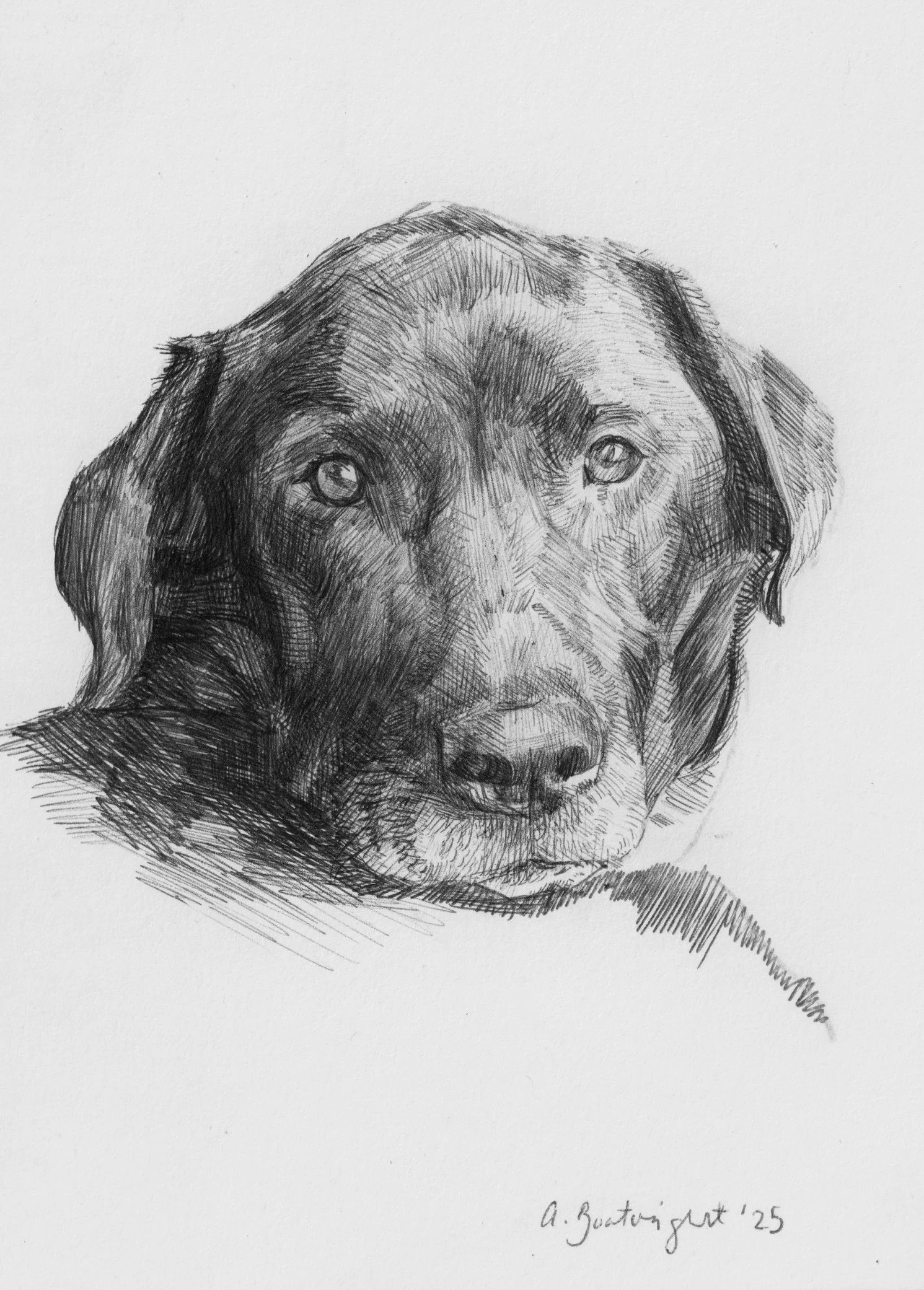 mini gus maxwell 2025.jpg