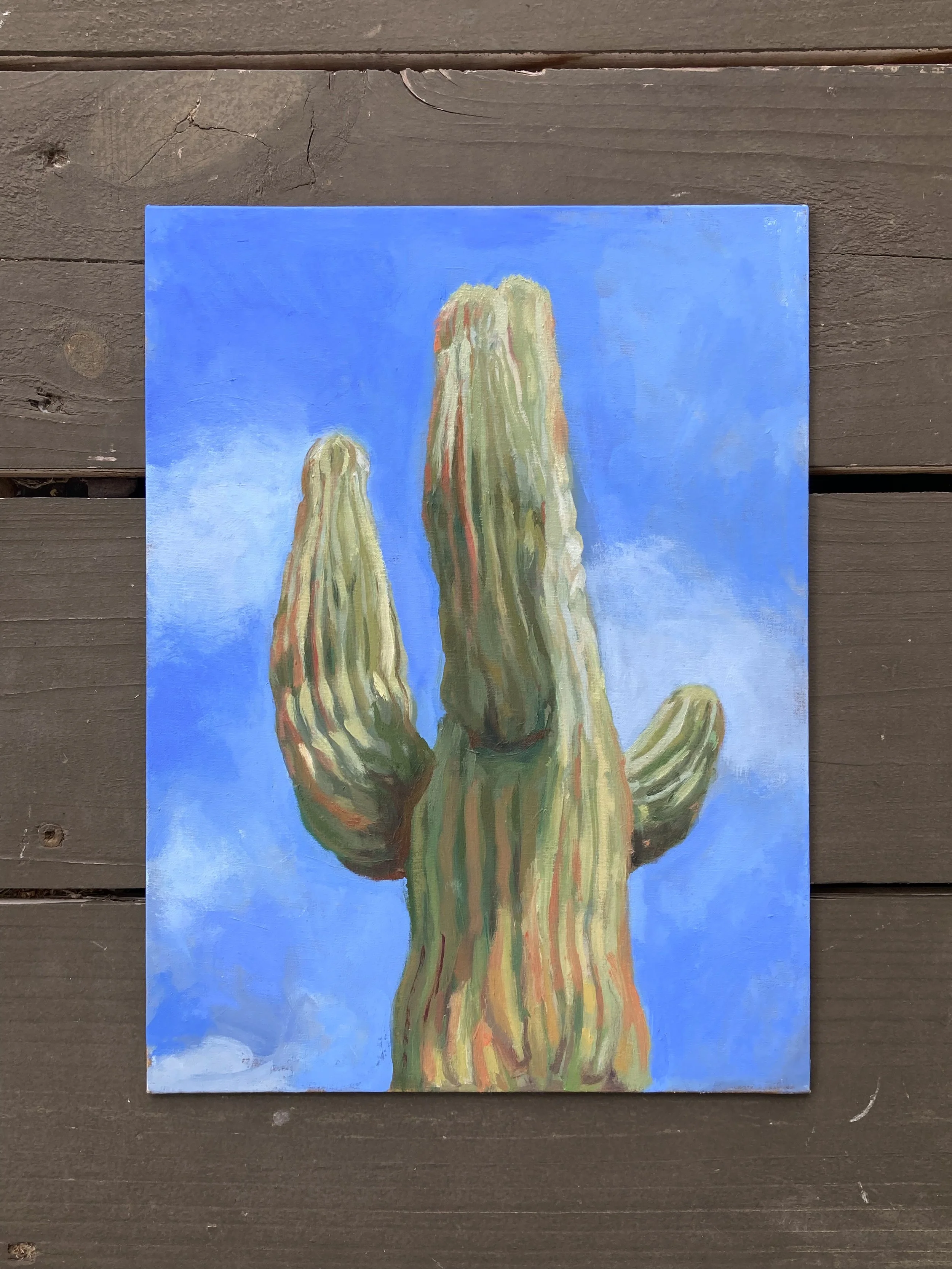 cactus edits-4.jpg