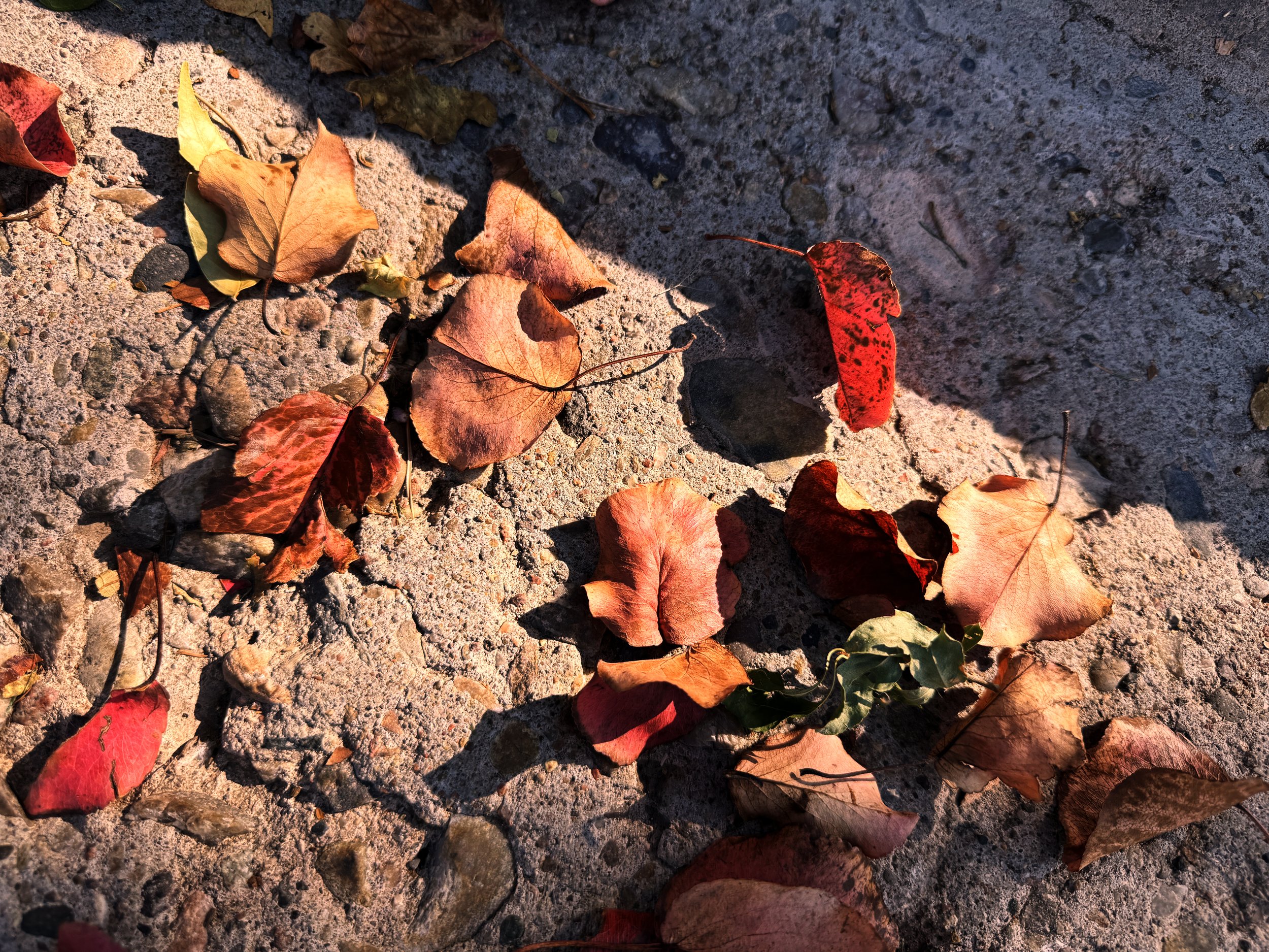 In Plain Site, Photography