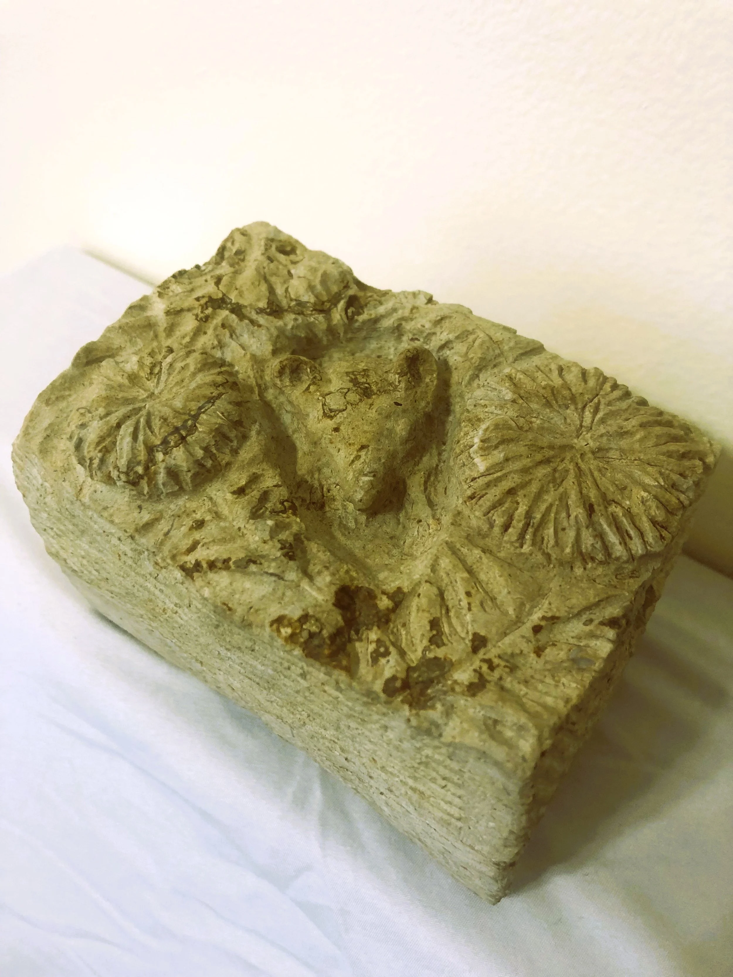 Mouse in the Dandelions