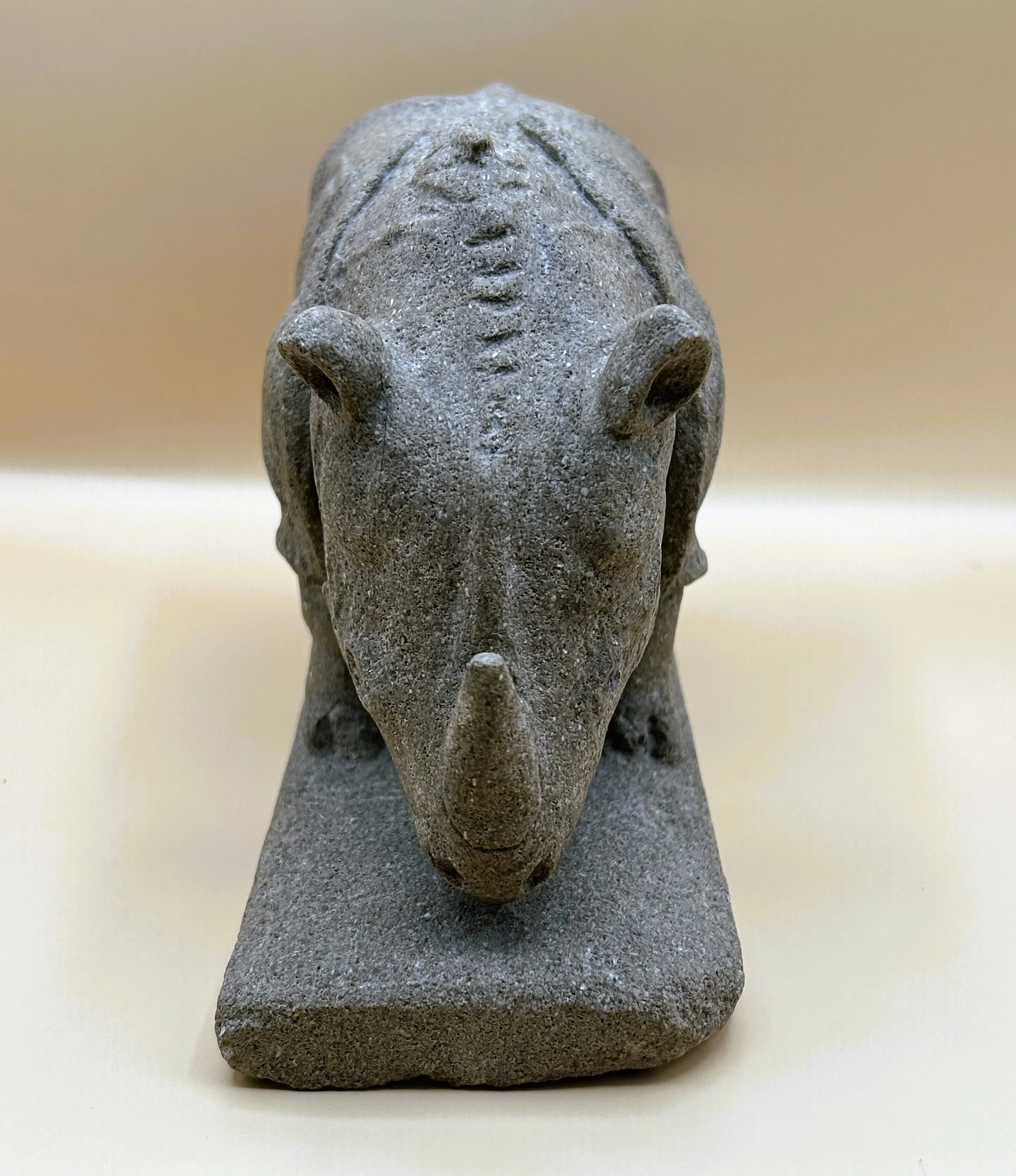 Larry the Rhino (after Durer)