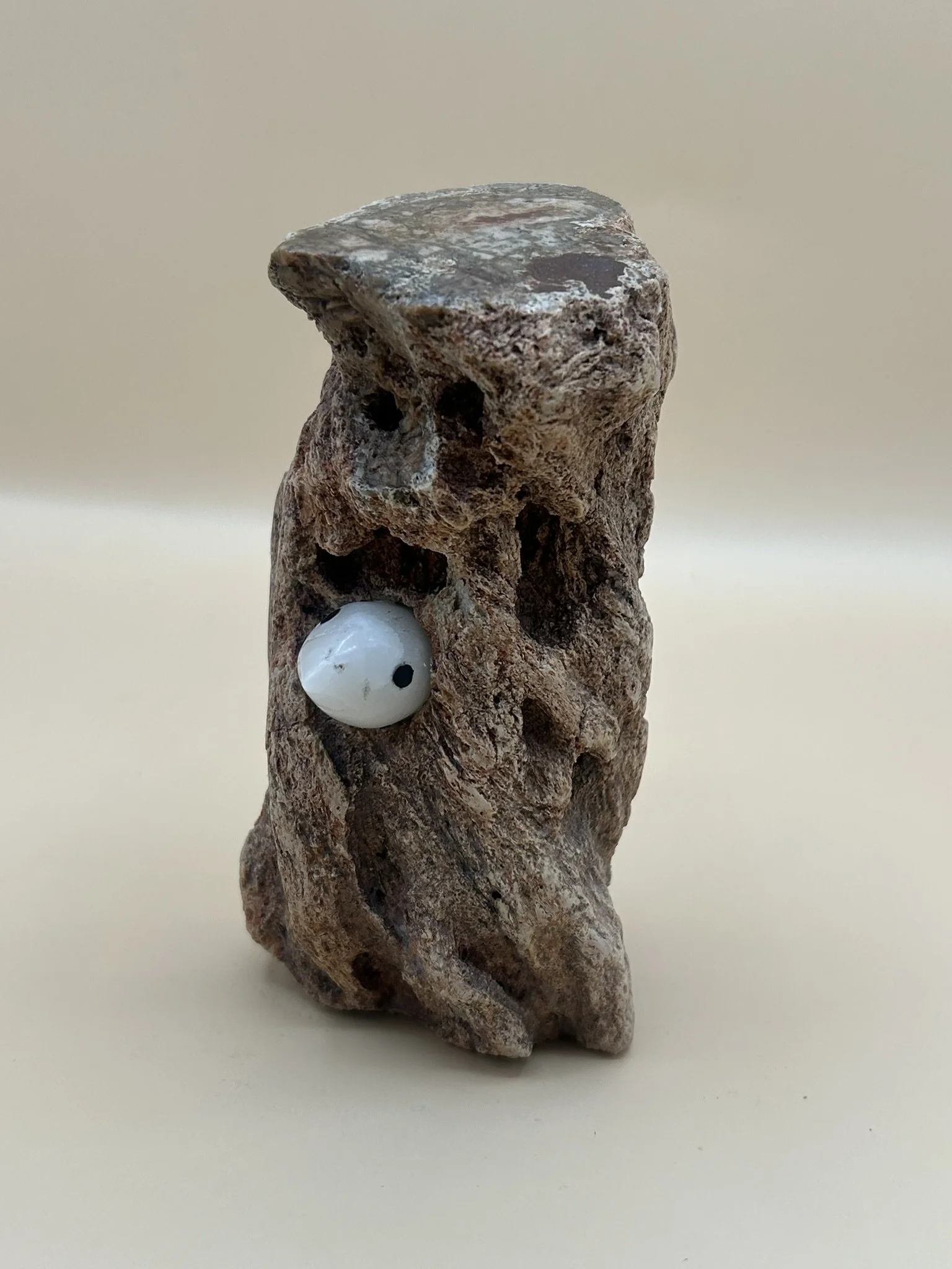 Petrified Birdie (2025)