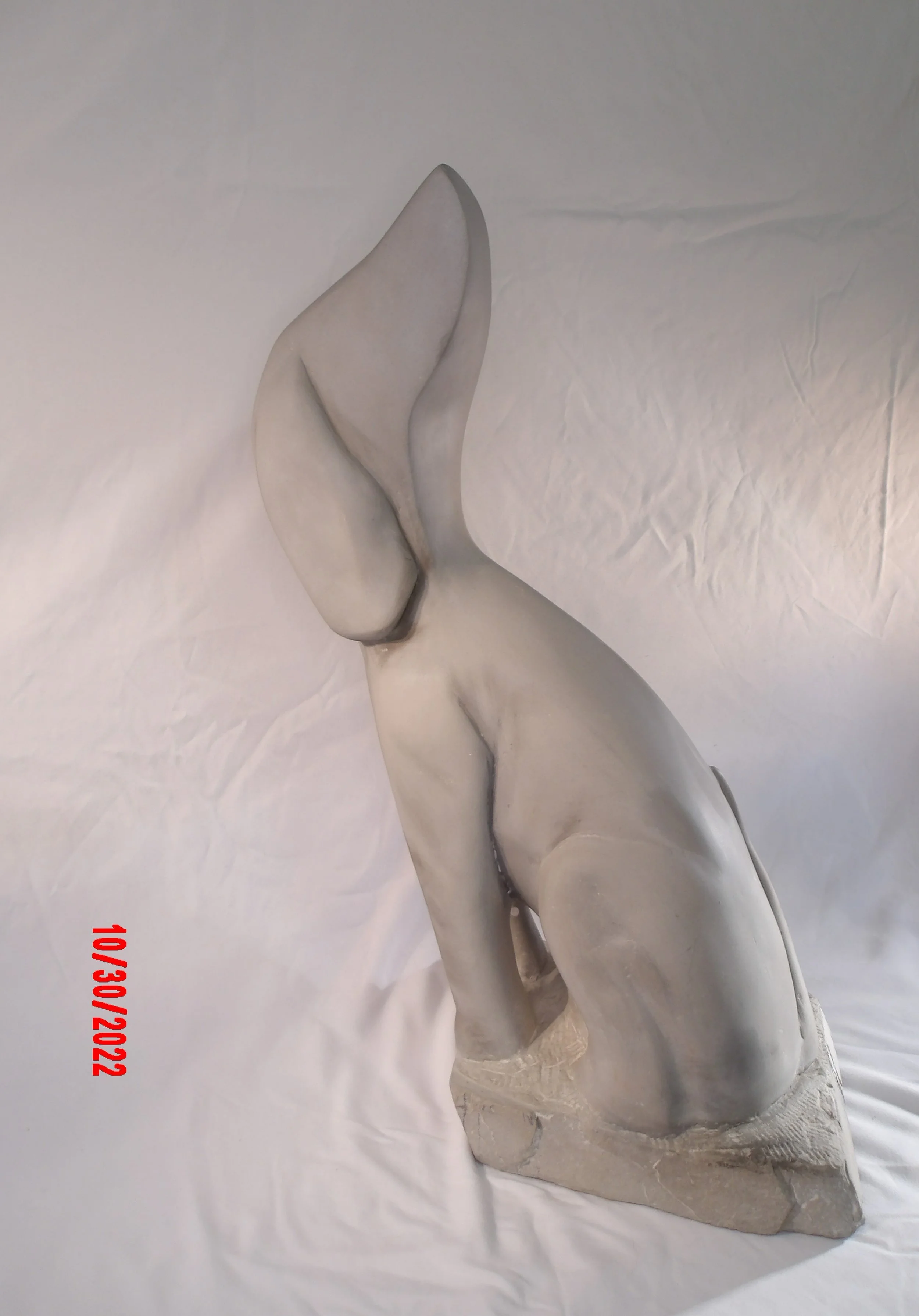 Backwards Dog (2021)