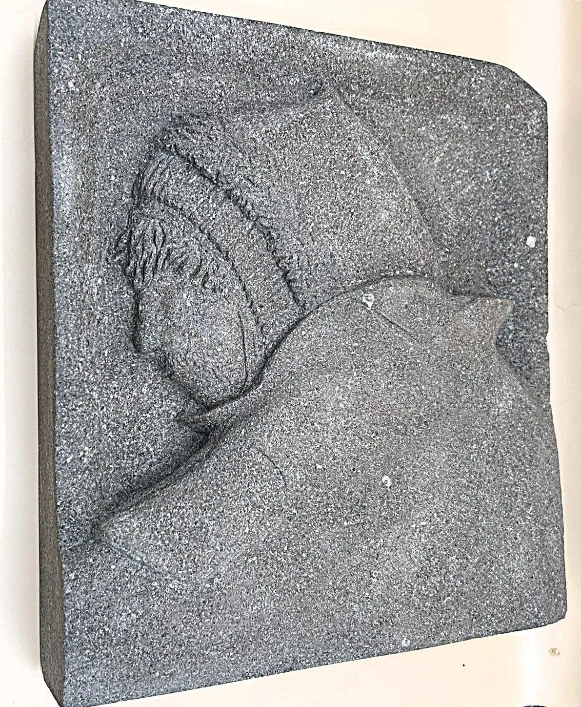 The Explorer in my Shower (2025)