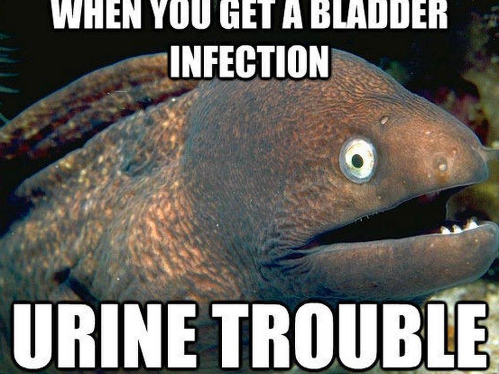 UTI.jpeg