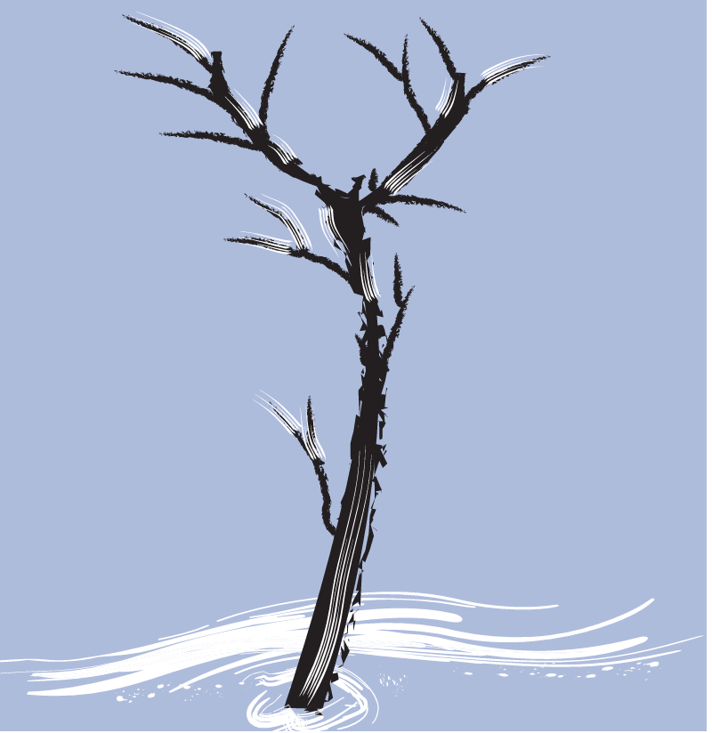 Seven Day Solo Retreat Diary