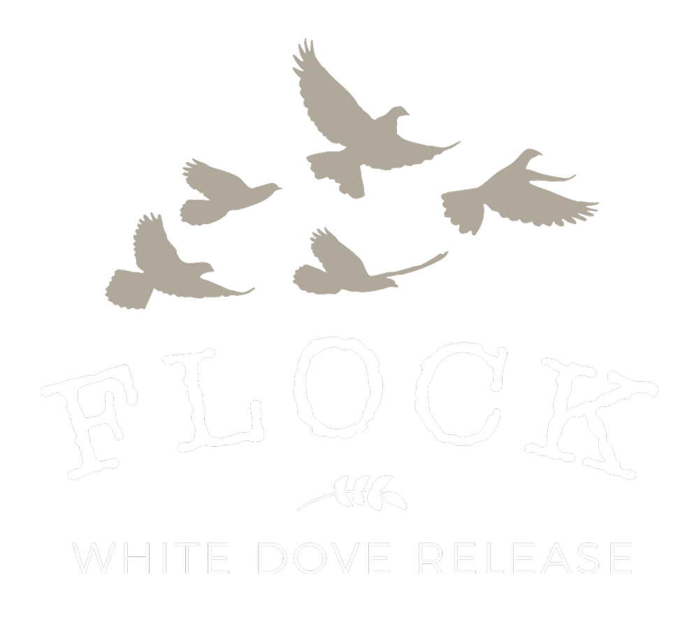 FLOCK White Dove Release