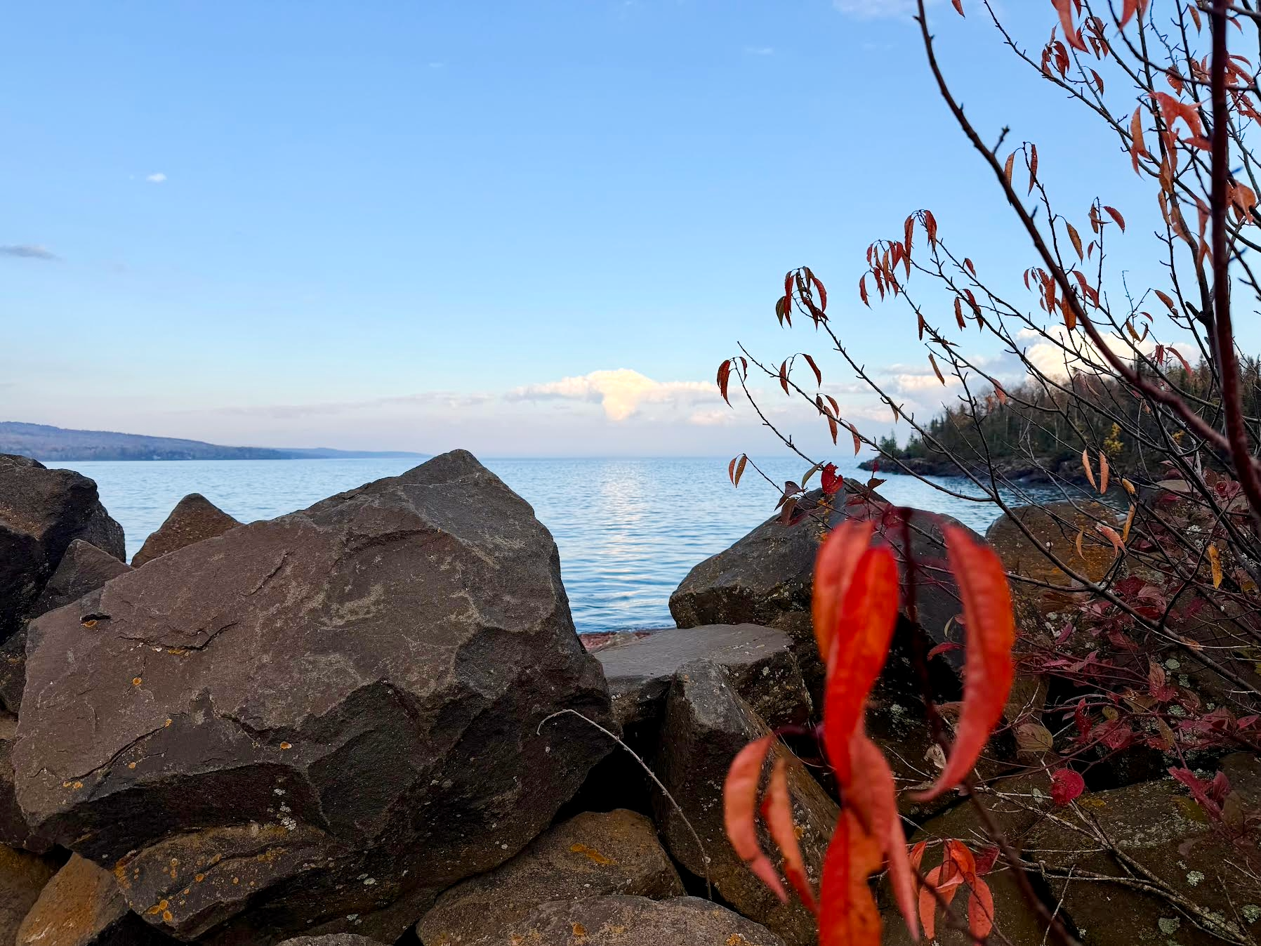 Finding Inspiration, Grounding, and Creativity in Nature