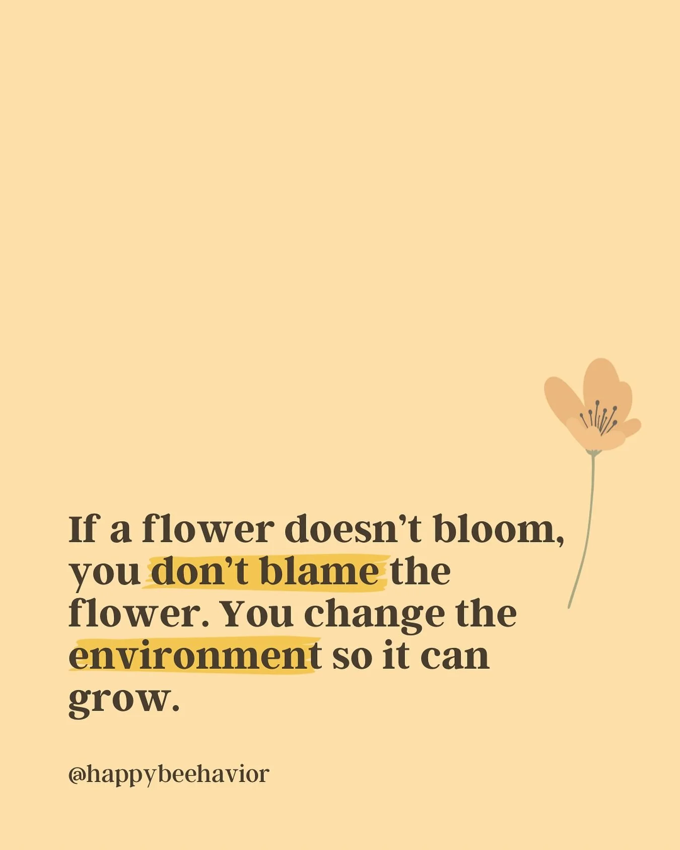 Just like flowers, people grow when their environment supports them. If a flower doesn’t bloom, we don’t blame the flower. We look at the soil, the sunlight, the water. The same goes for behavior.
Our environment shapes how we behave. In