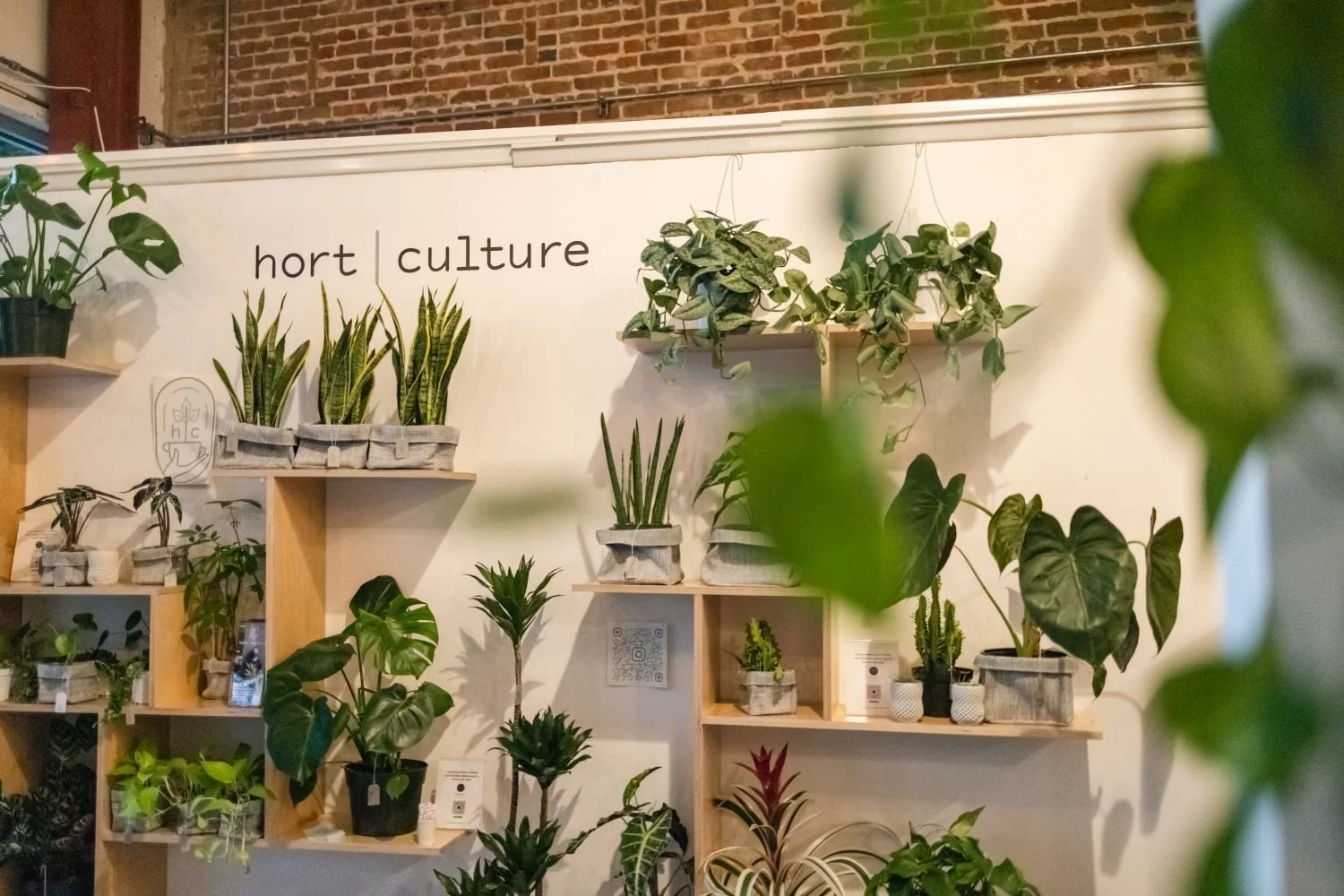 SWAY is a community space in Berkeley, CA that boasts beautiful plant life and green spaces in a coworking space and event space event venue.