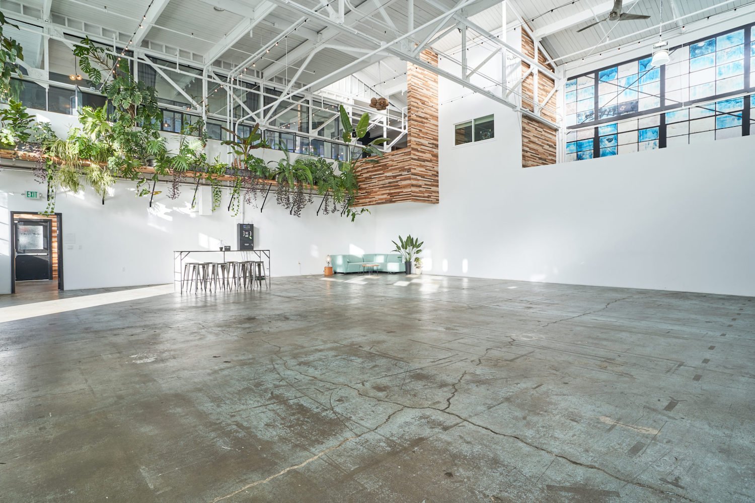 sway-studio-set-vines.jpeg