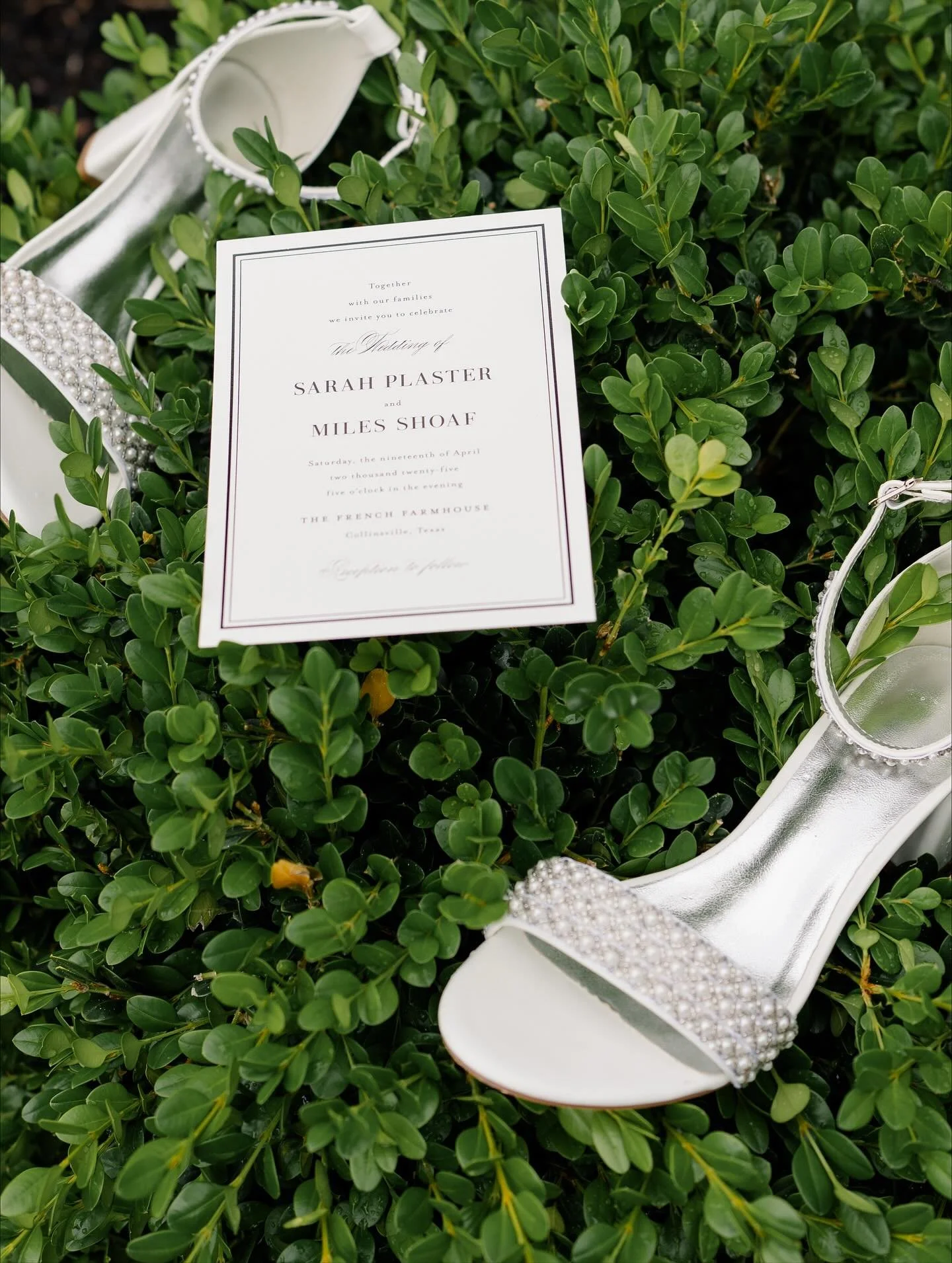 Sarah + Miles 🖤

Venue: @thefrenchfarmhousevenue 
Planning: @baweddings 
Photo + Video: @samanthapaigephotos 
Floral: @floralrentalsbysherpa
HAMU: @sheisartbeauty 
DJ: @djquestionmark 
Catering: @texas_catering 
Bar: @liquidloveco 
Ceremony Music: @