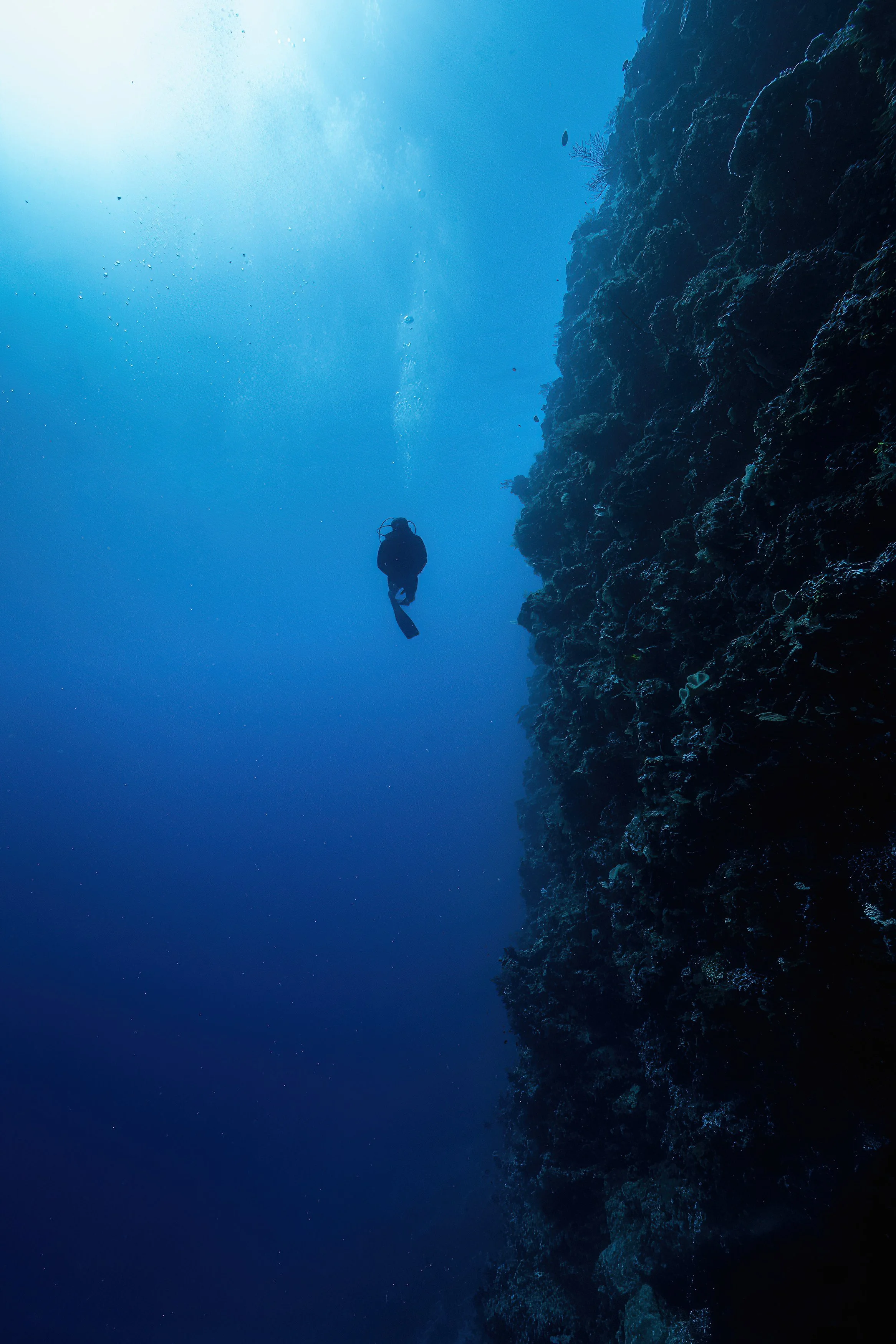 Dive Papatura