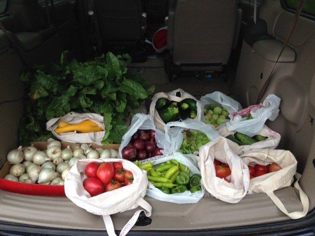 garden+harvest+2014.jpg