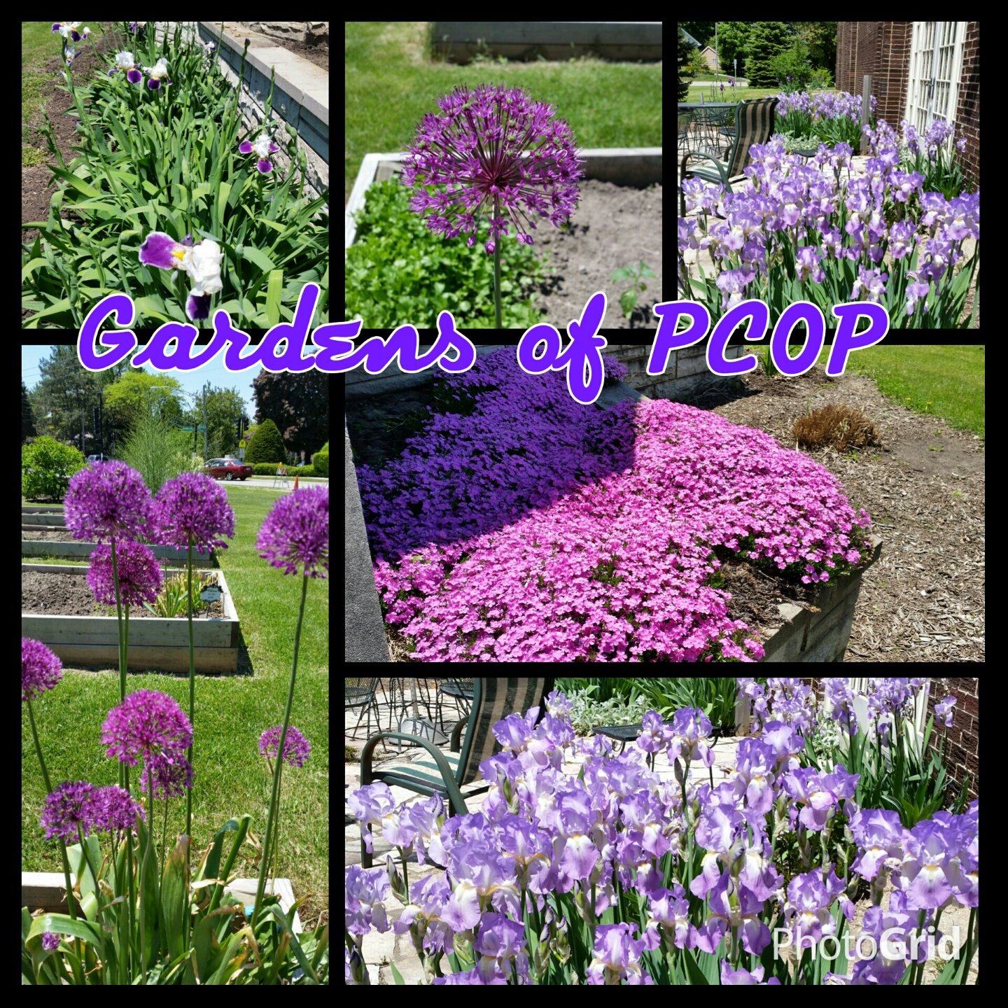 flower+gardens.jpg