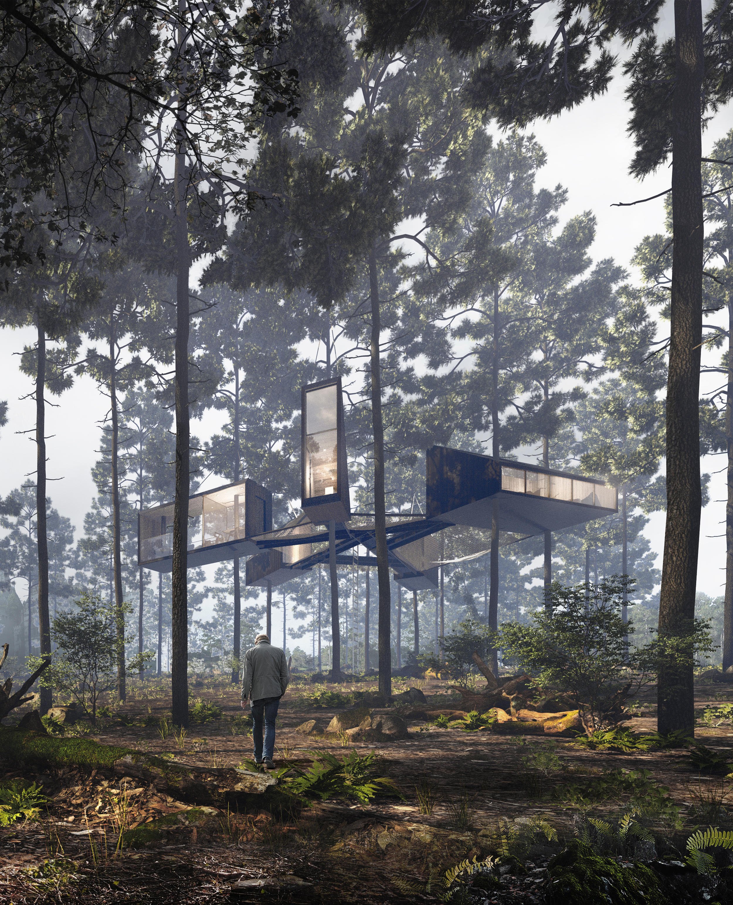 2020_MORETHANVIZ_TREEHOUSE_1_LQ.jpg