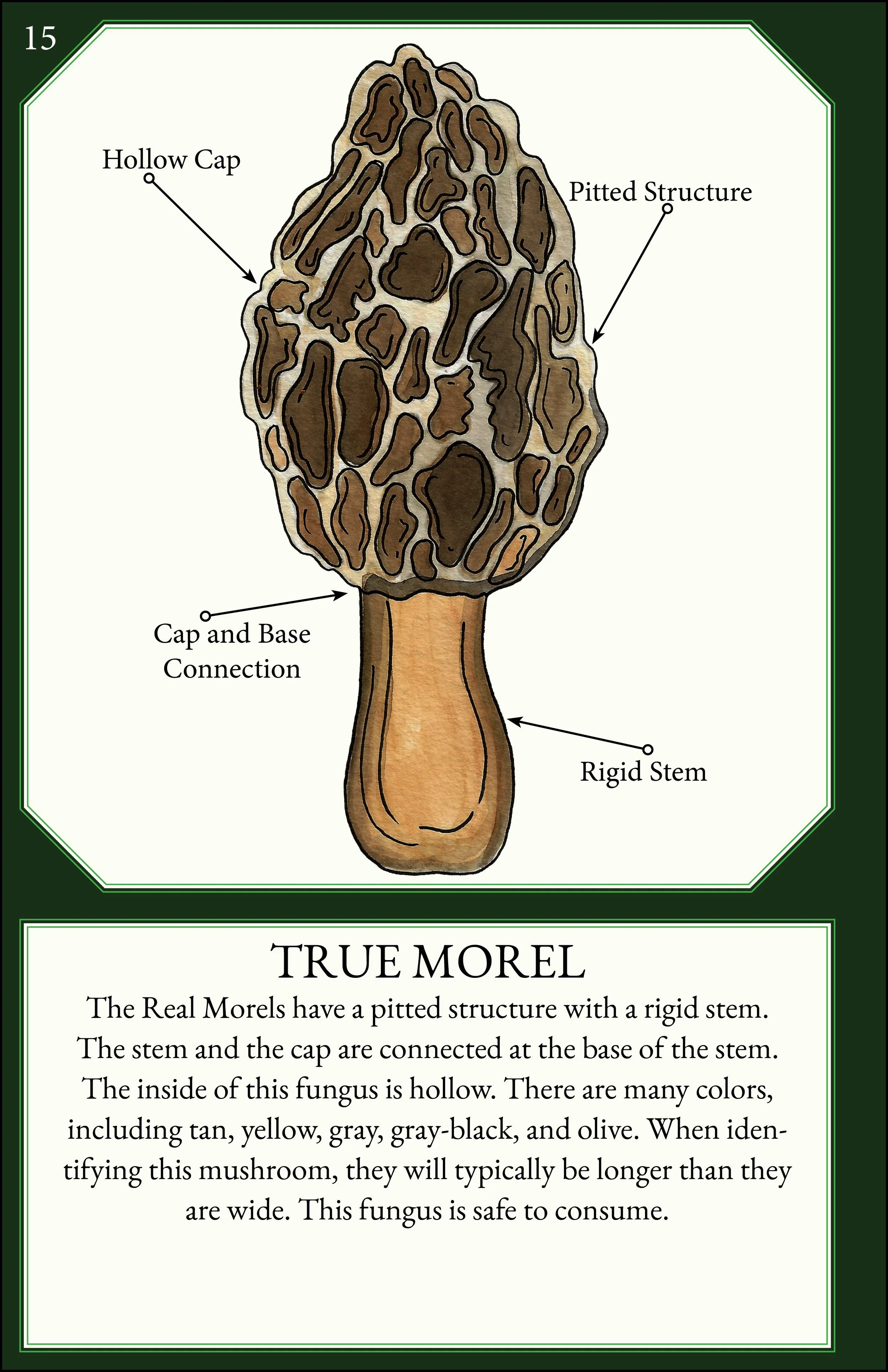 larger size correct file 18.jpg