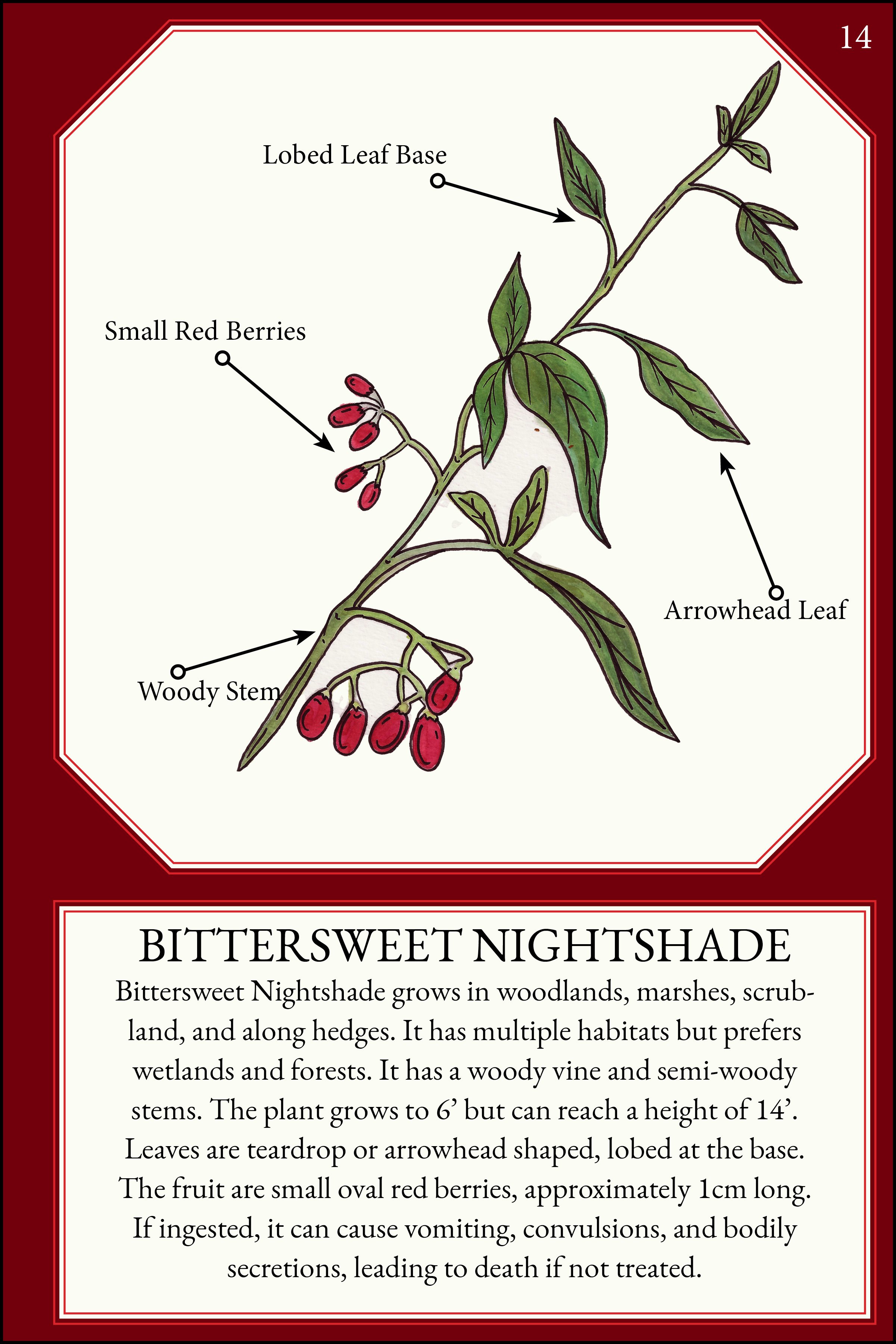 larger size correct file 4x617.jpg