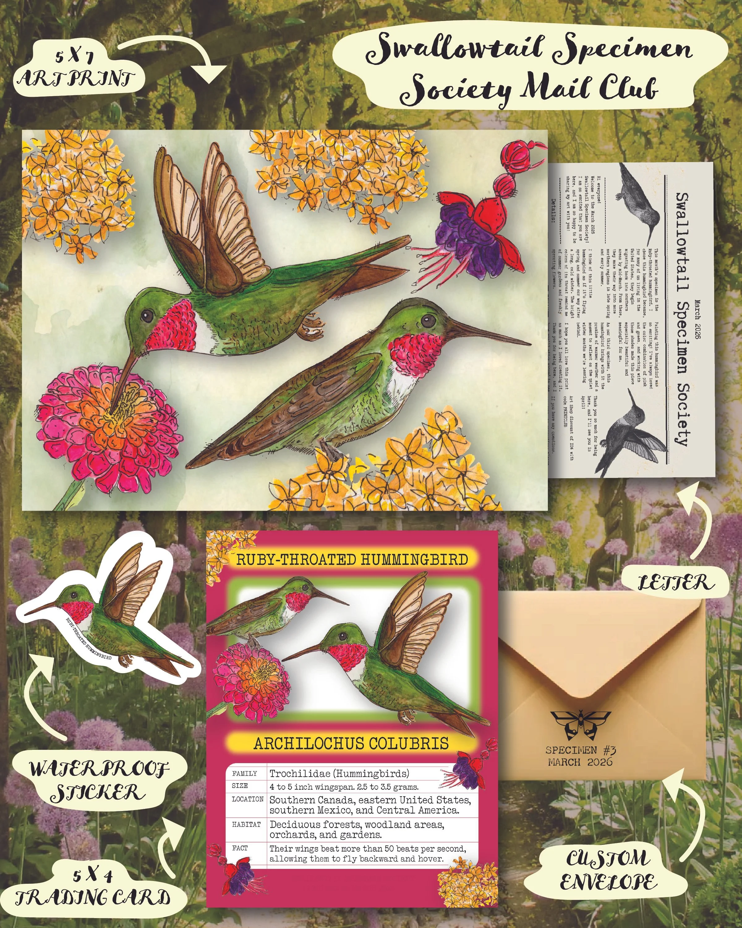 HUMMINGBIRD CREATIVE.jpg