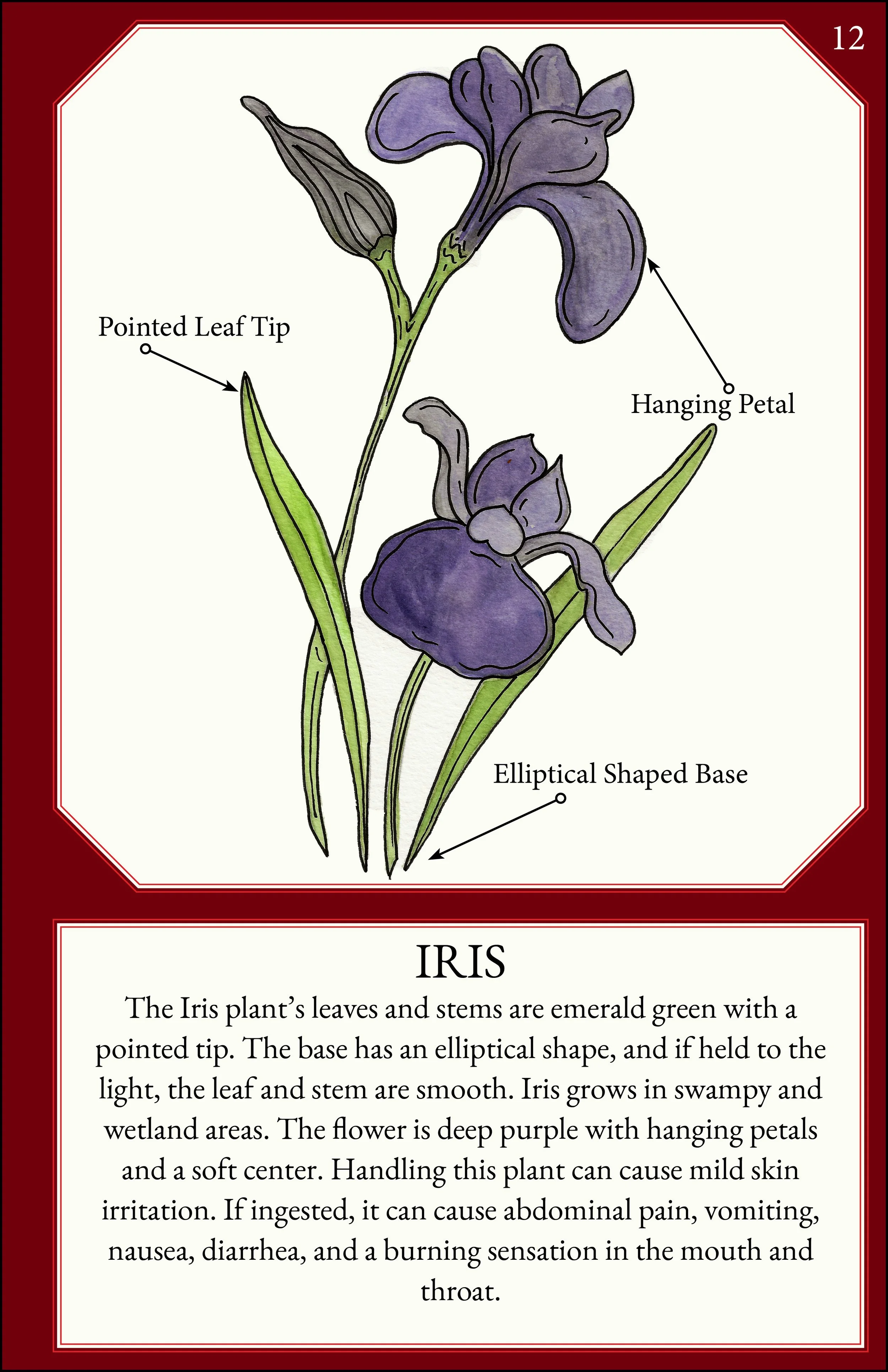 larger size correct file 15.jpg