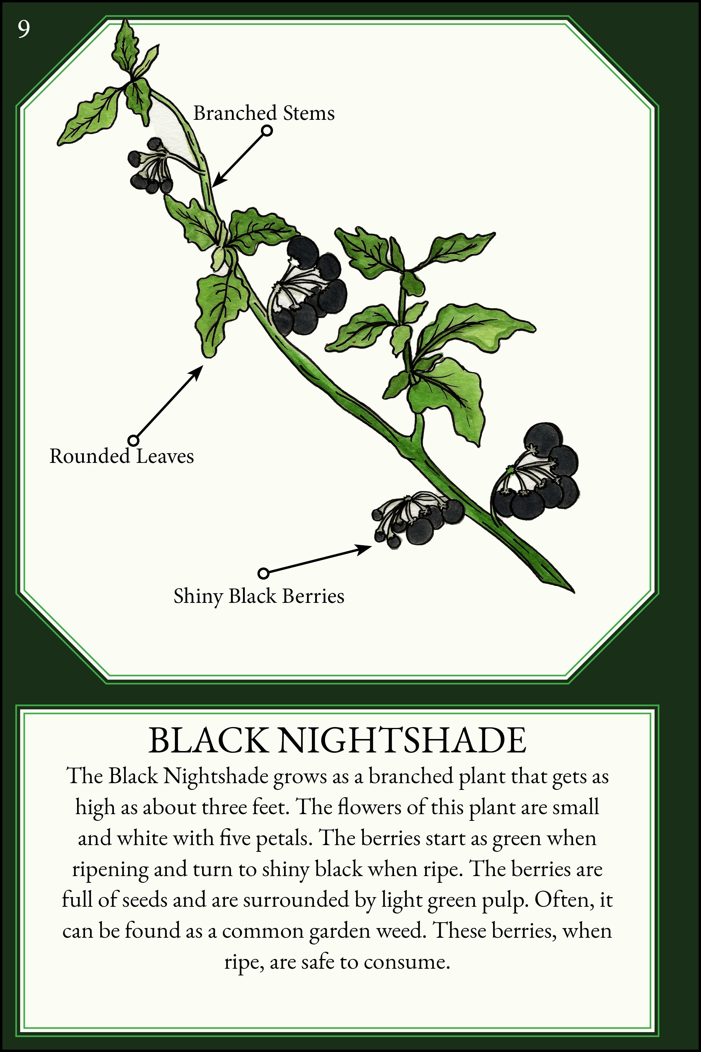 larger size correct file 4x612.jpg