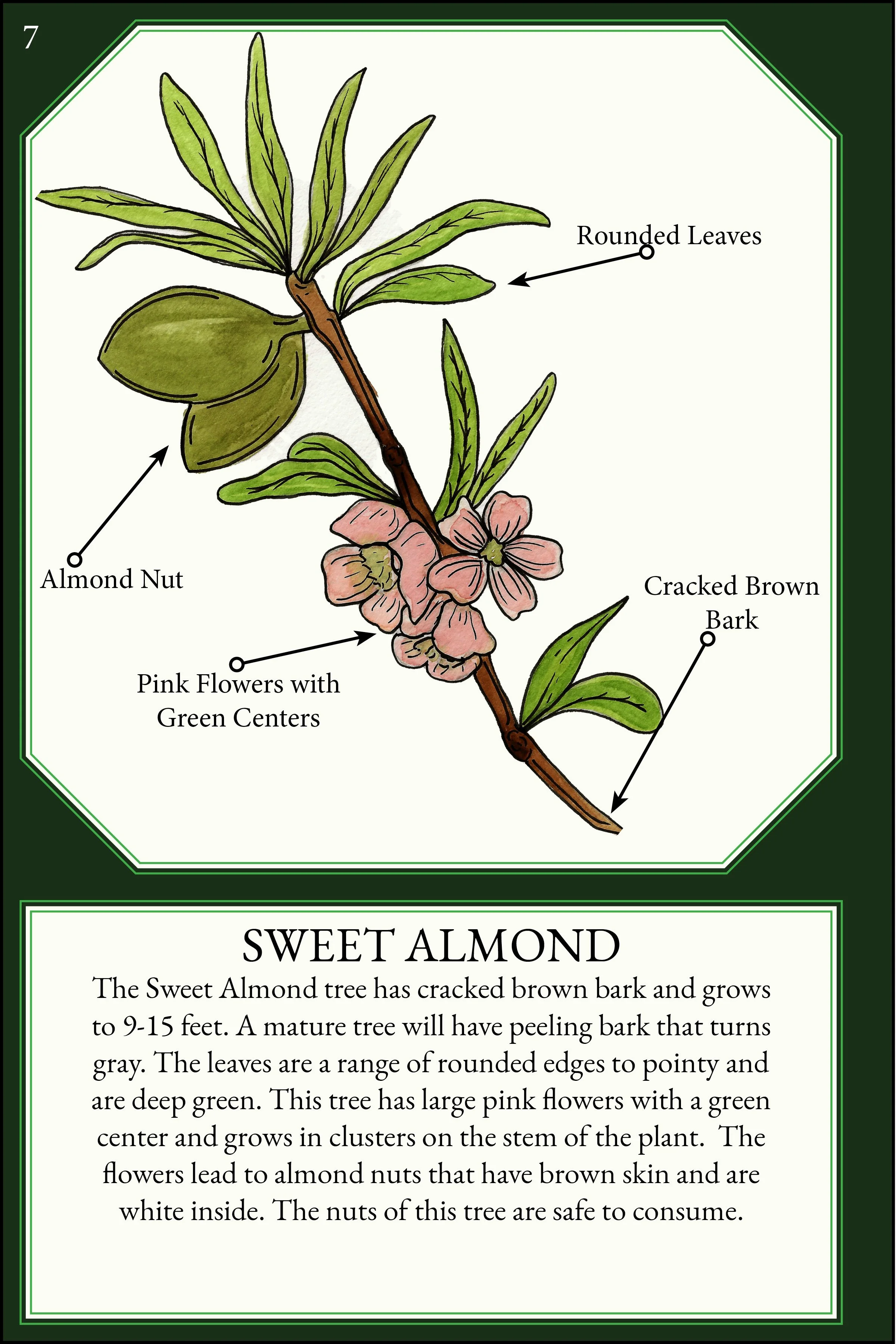 larger size correct file 4x610.jpg