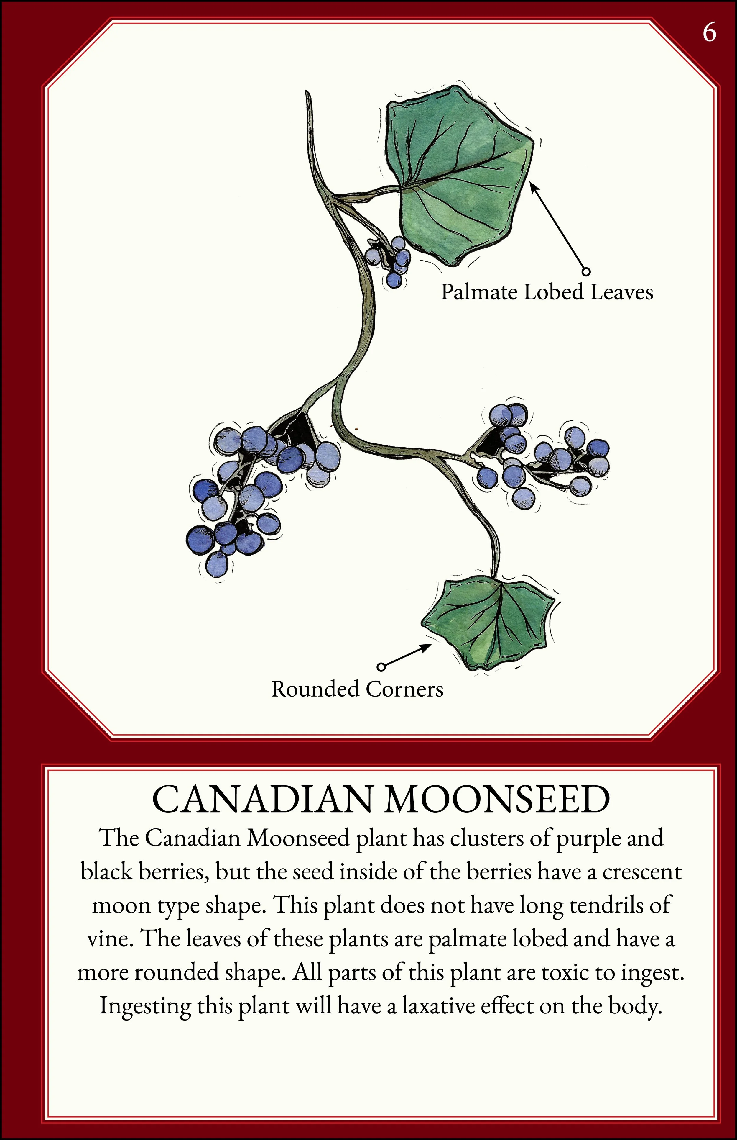 larger size correct file 9.jpg