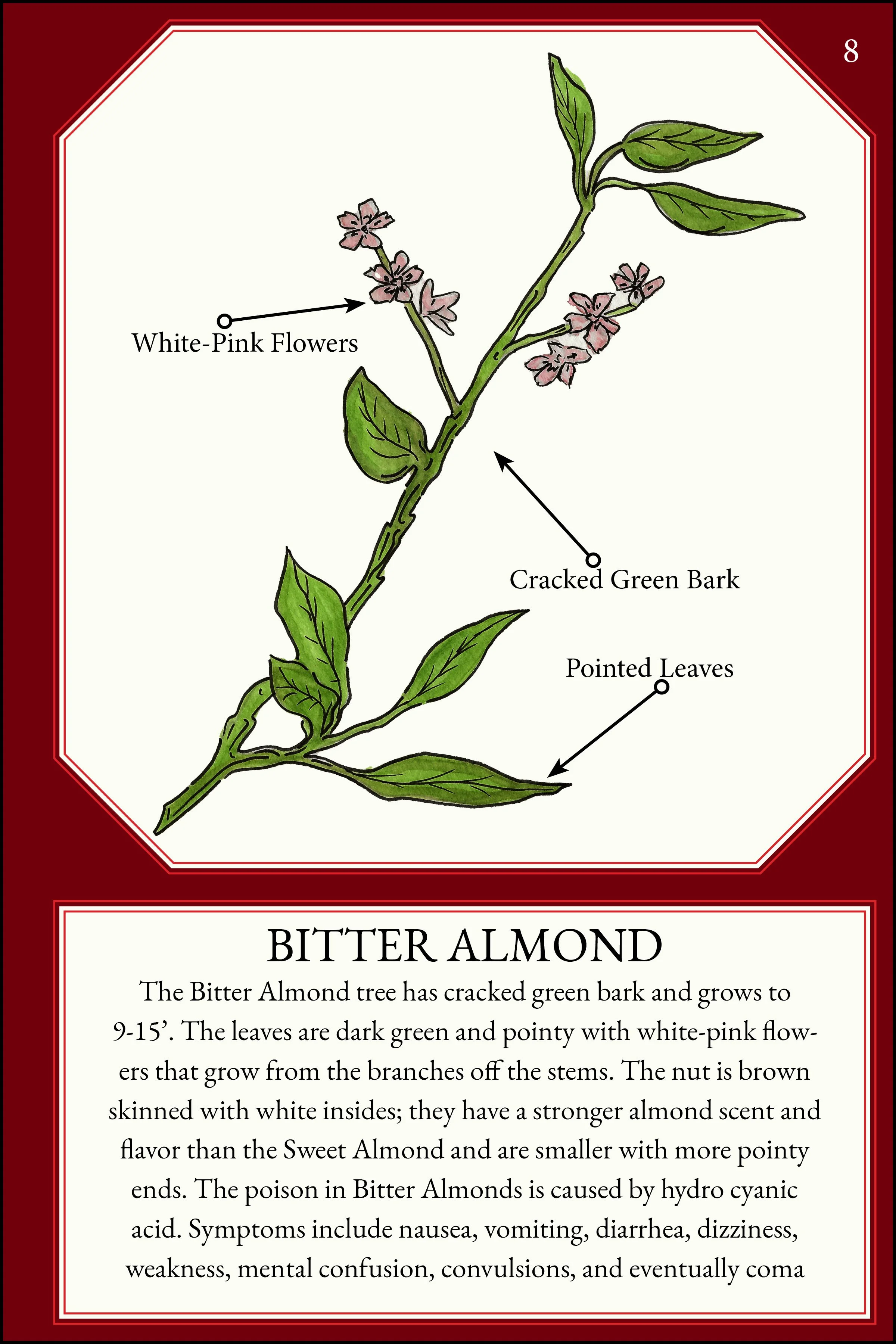 larger size correct file 4x611.jpg