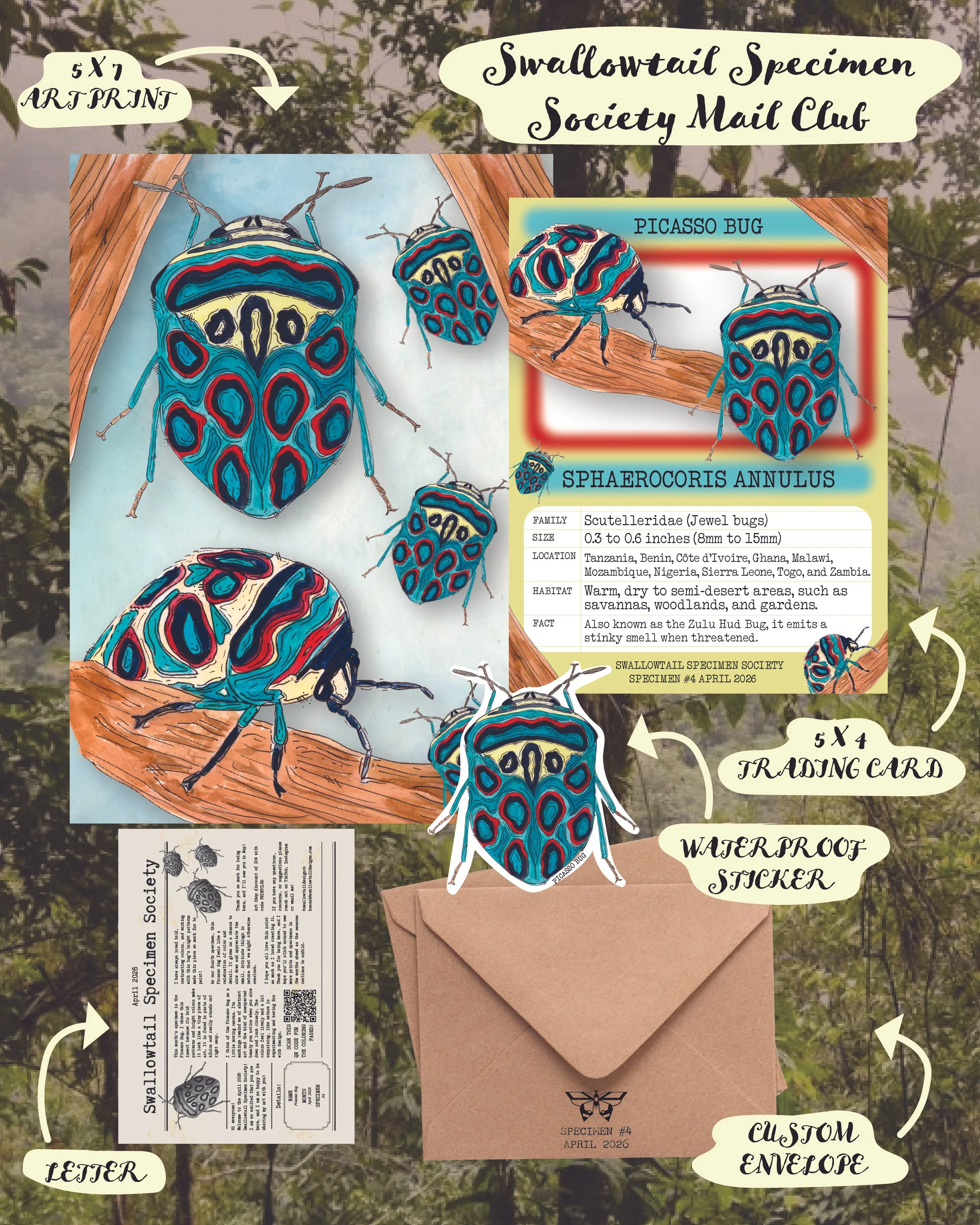 Swallowtail Specimen Society : International (Not USA)